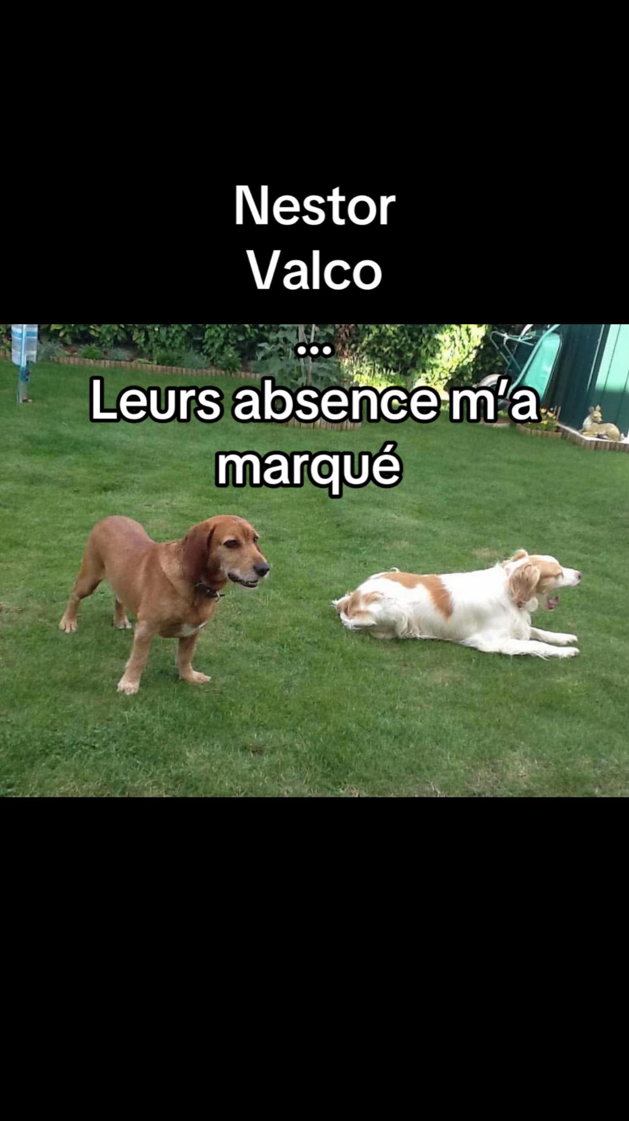 @Mumtiktokeuse OFFICIEL