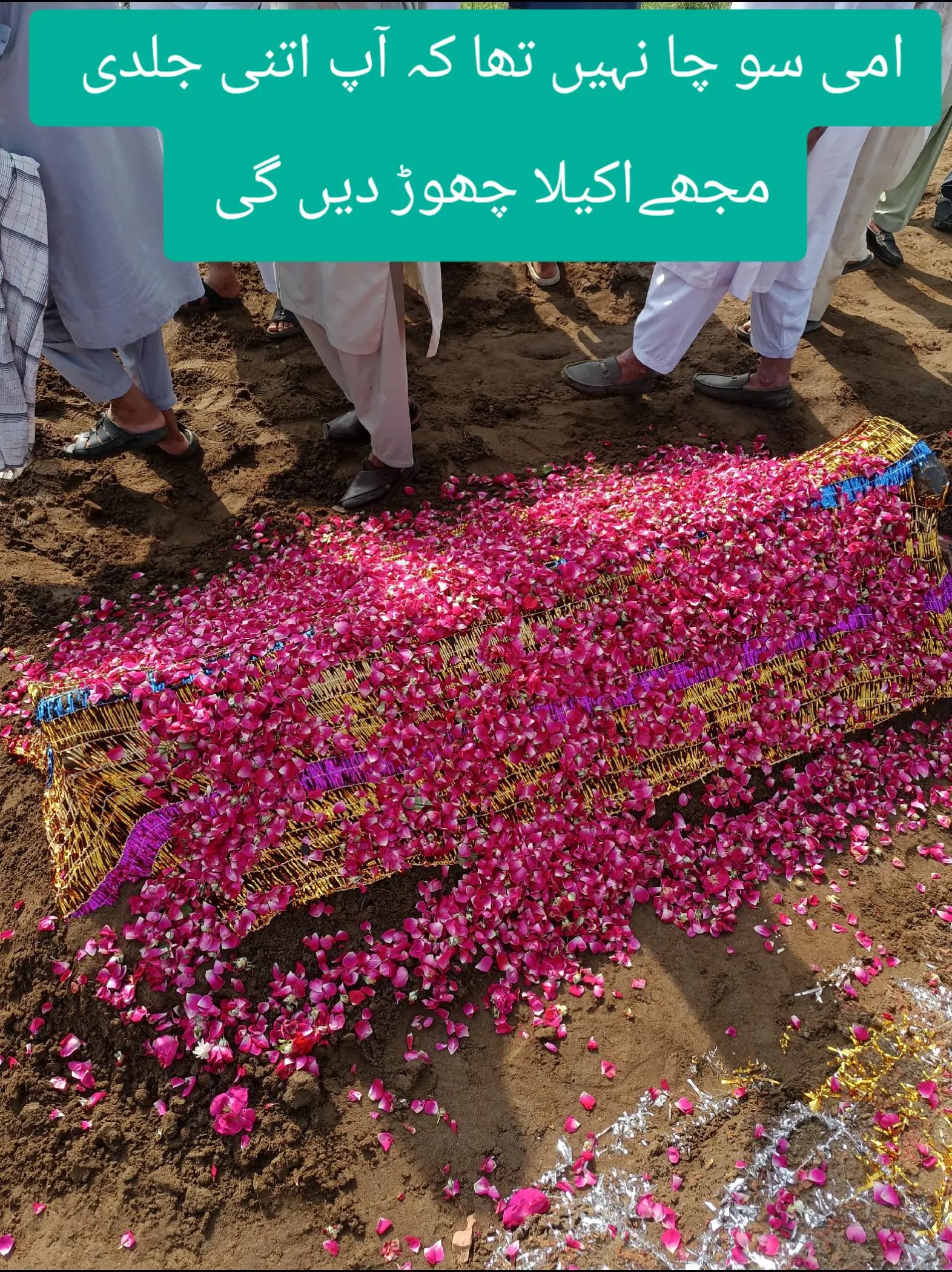 @Saad Sulman Qureshi