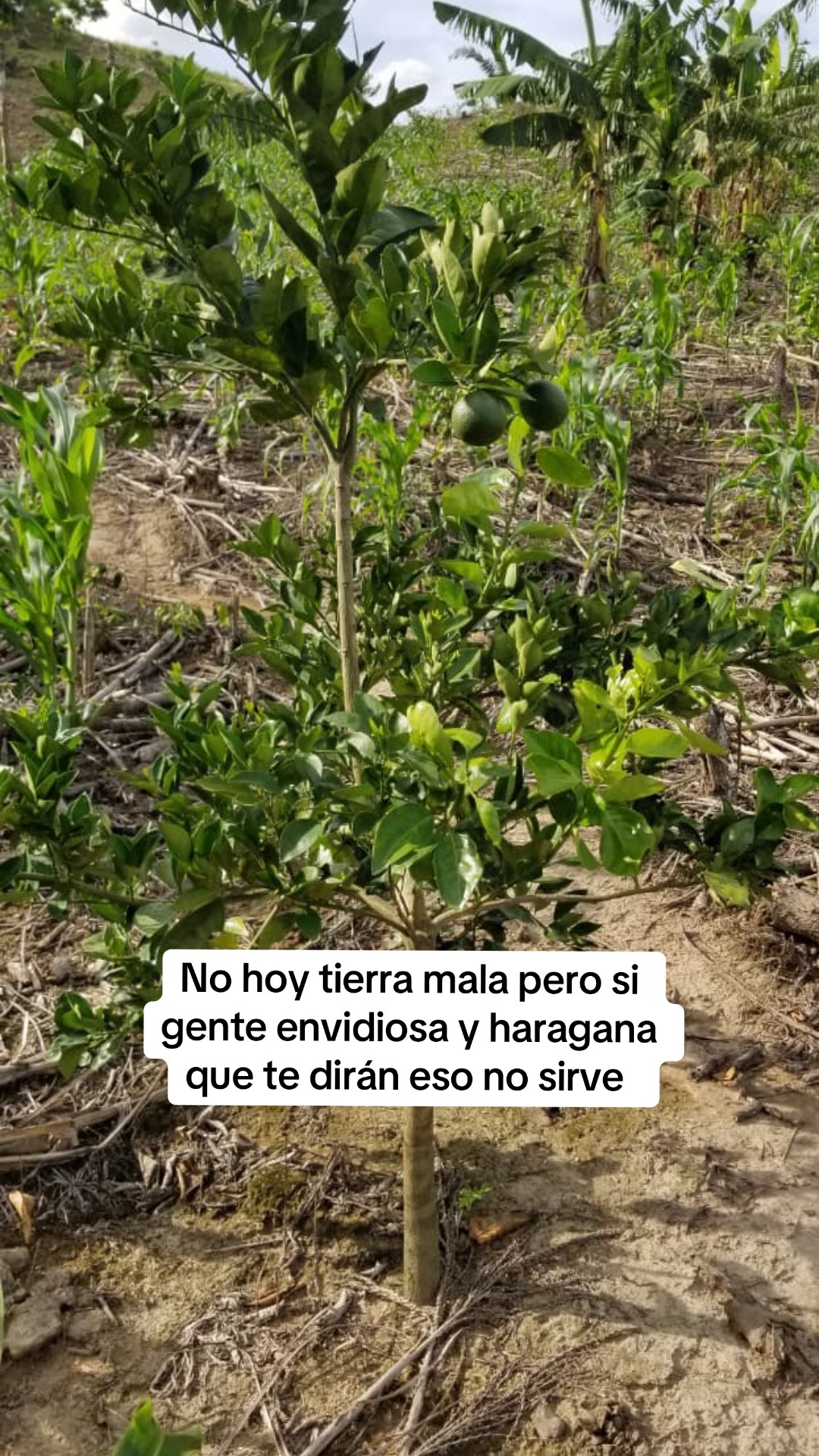 @el pay