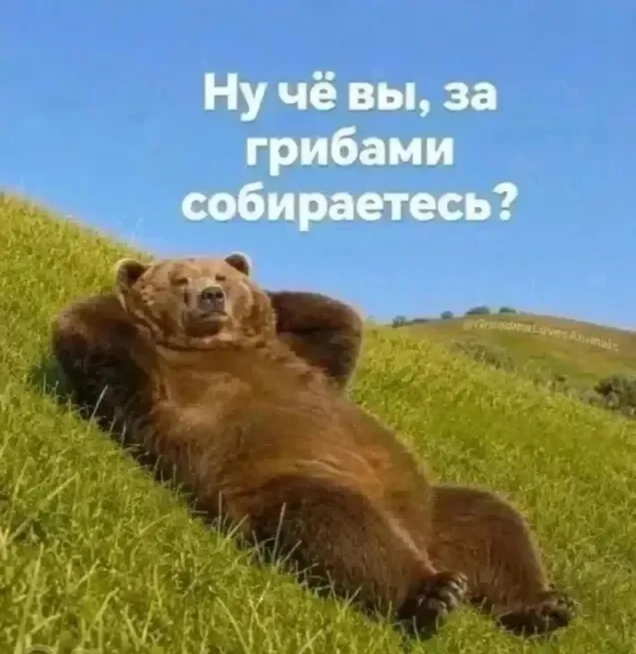 @Лида