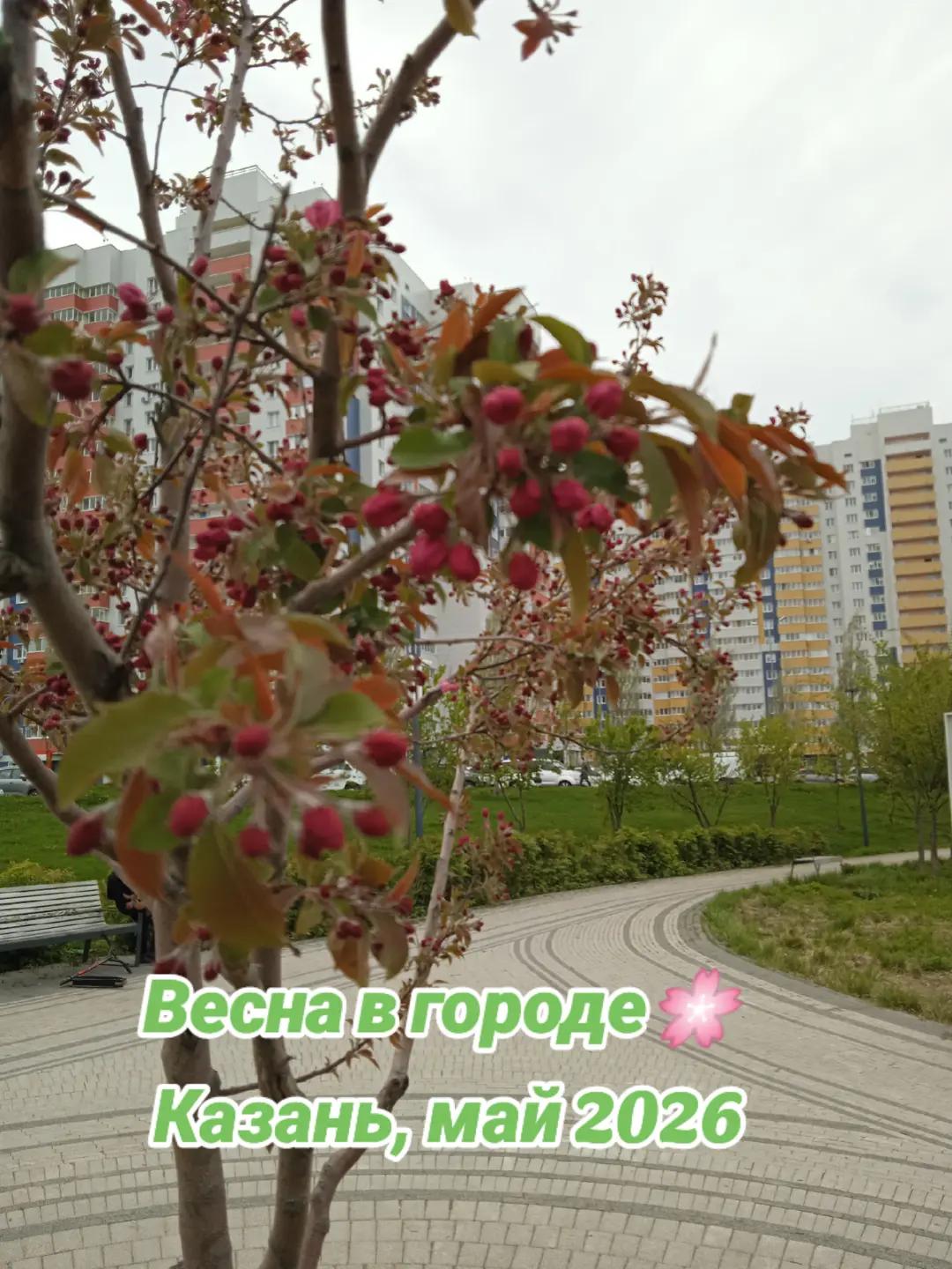 @Лилия
