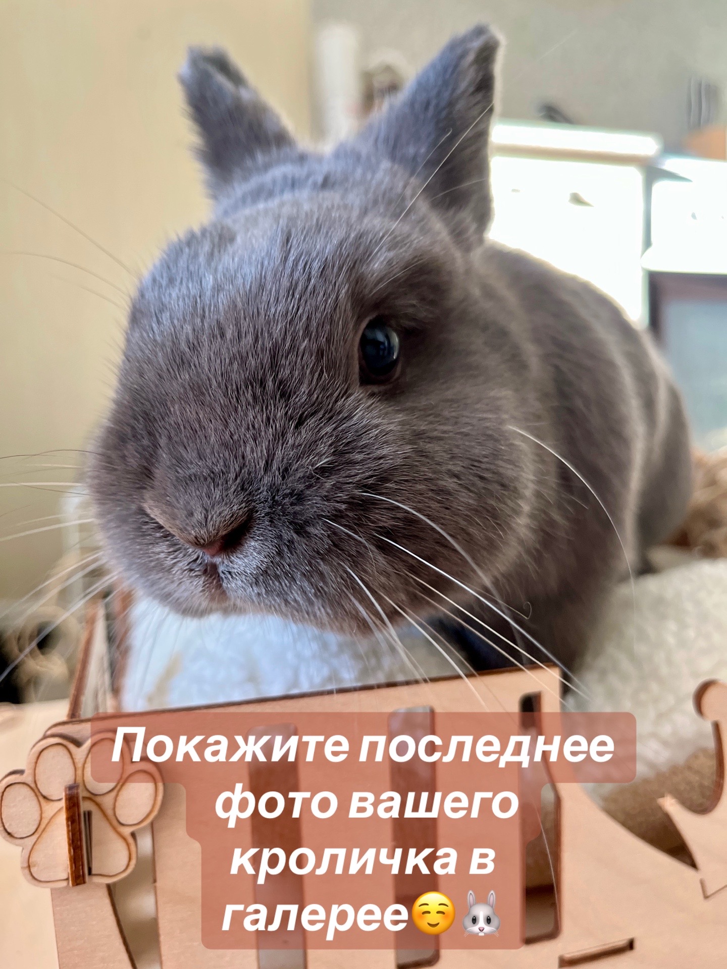 @Пусик