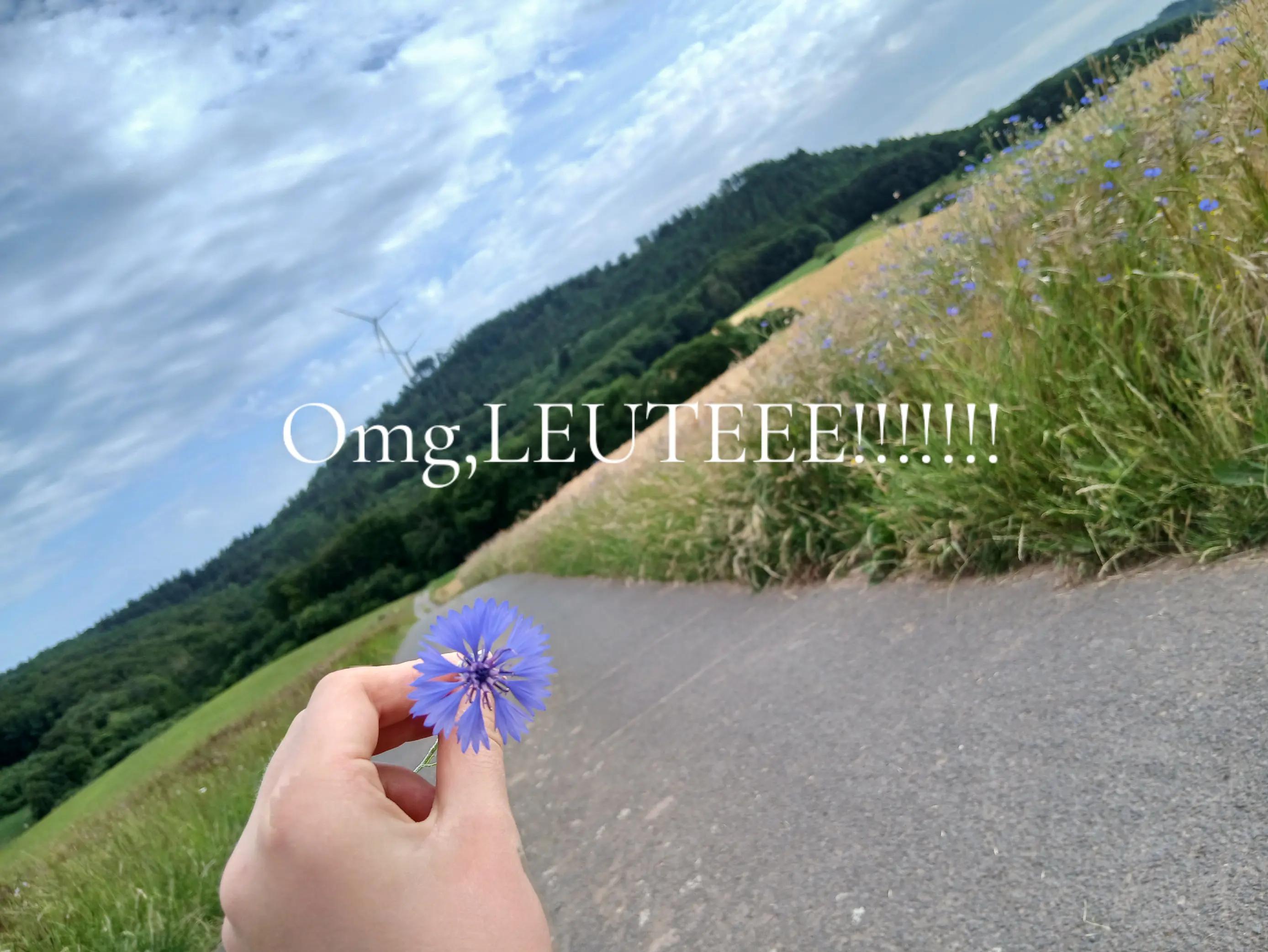 @Antonia ♡