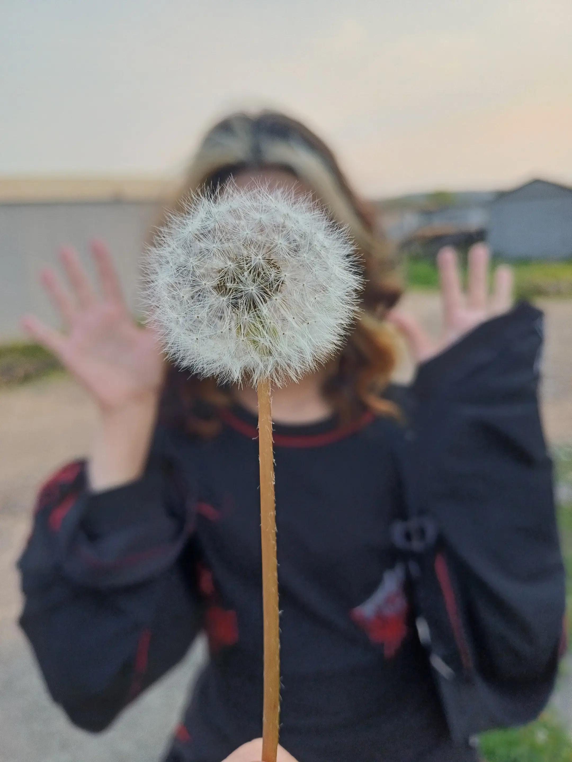 @дивзи