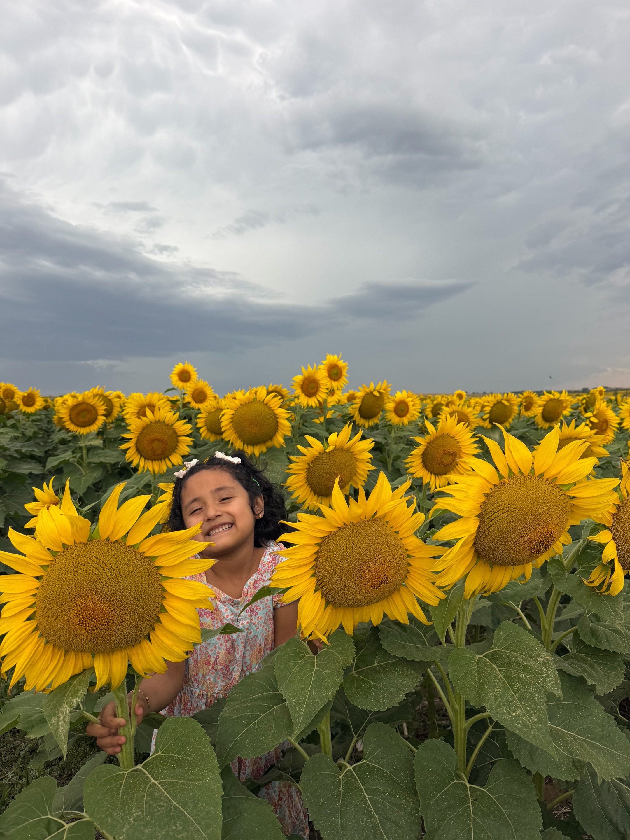 @La Tia Lucre