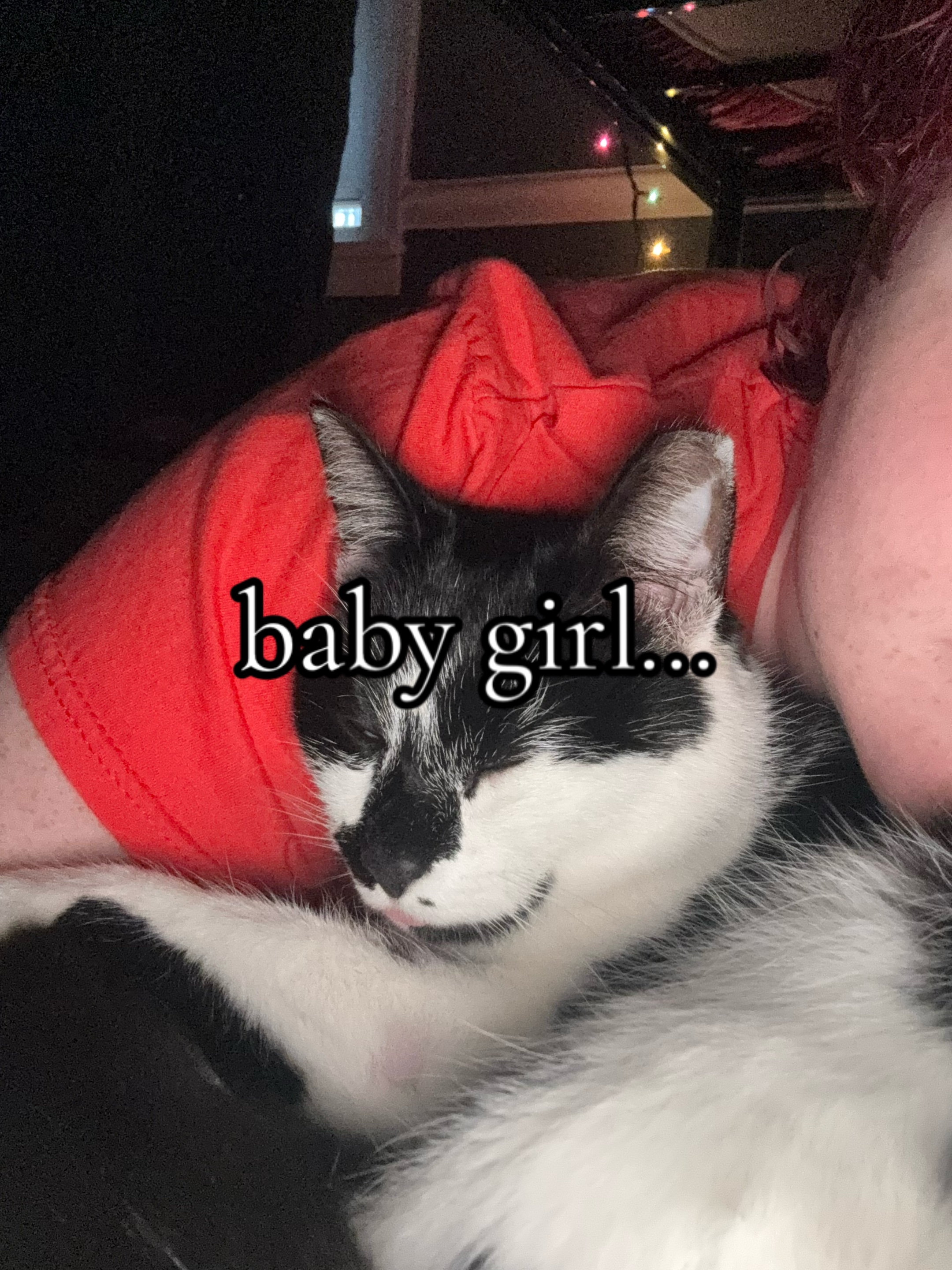 @little gremlin