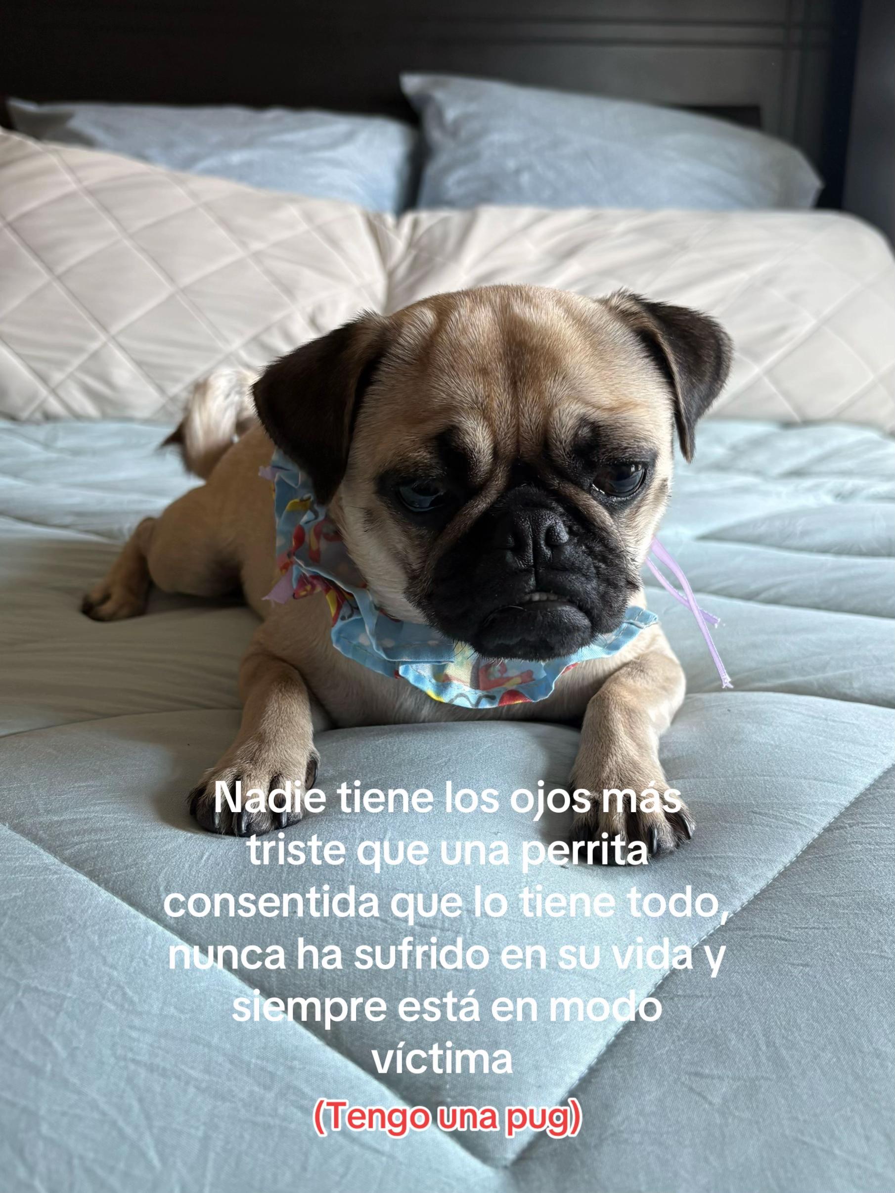 @Frida Miranda