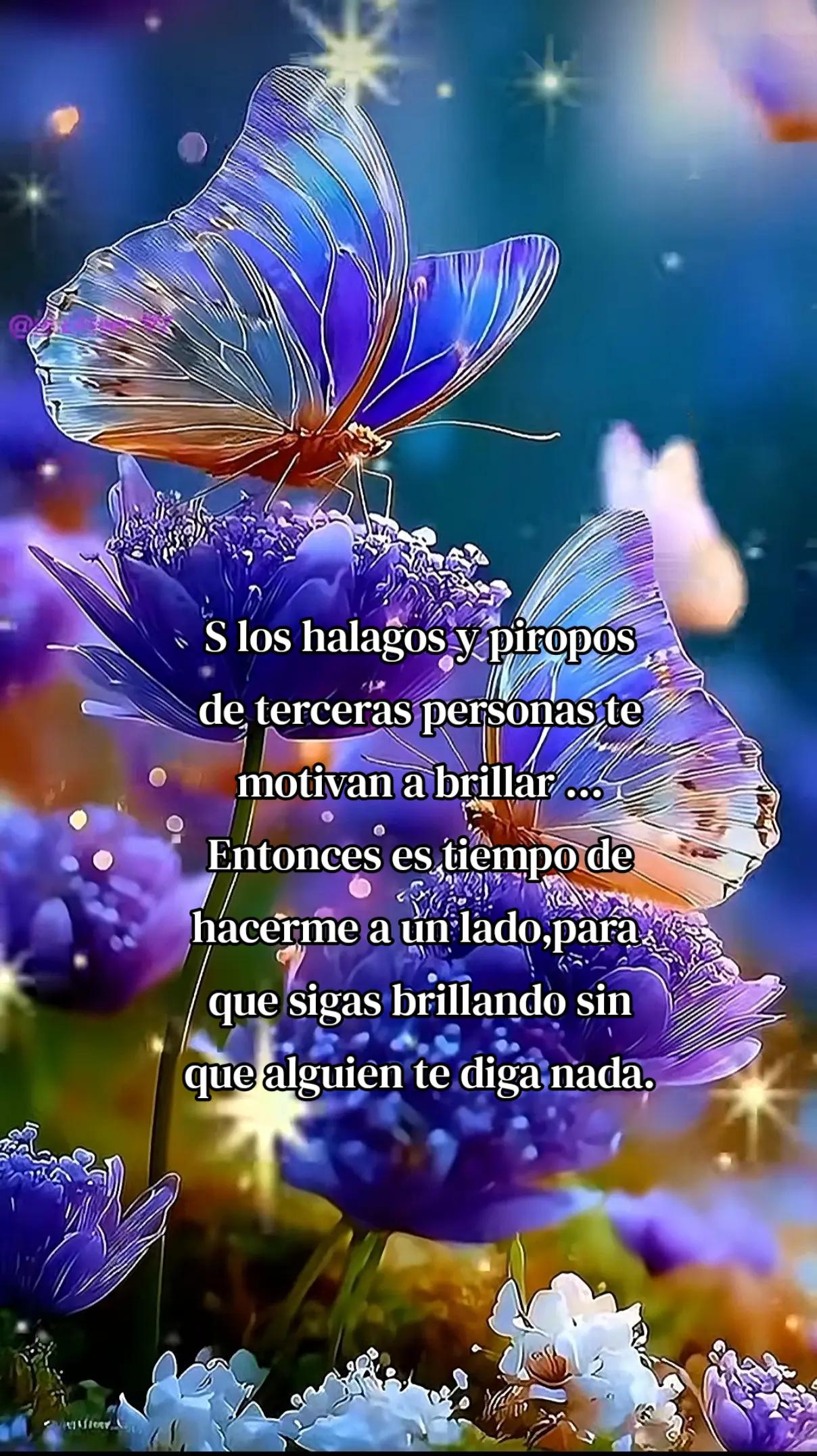 @Rafael V.J.(Lobito)