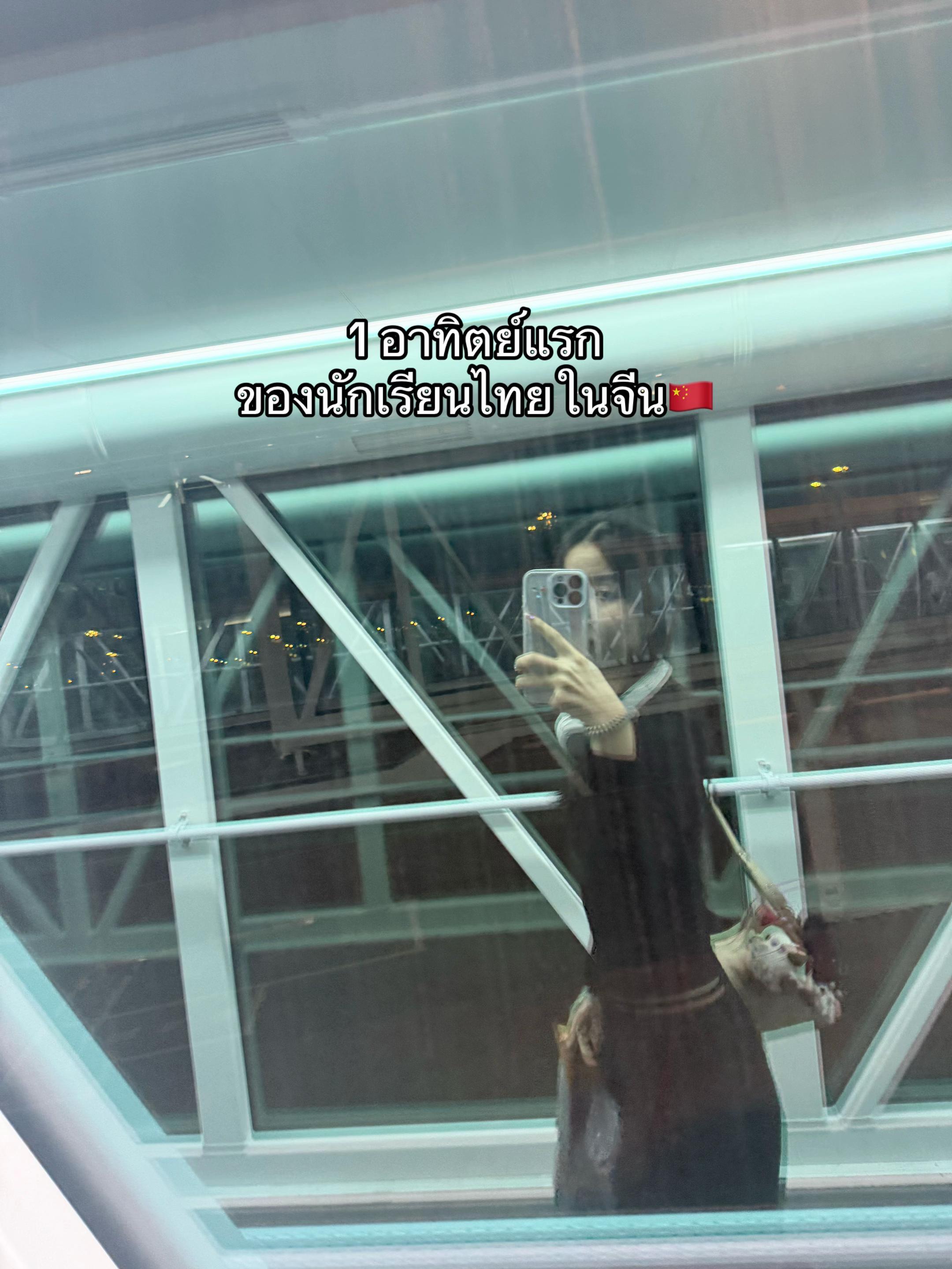 @ppimildd
