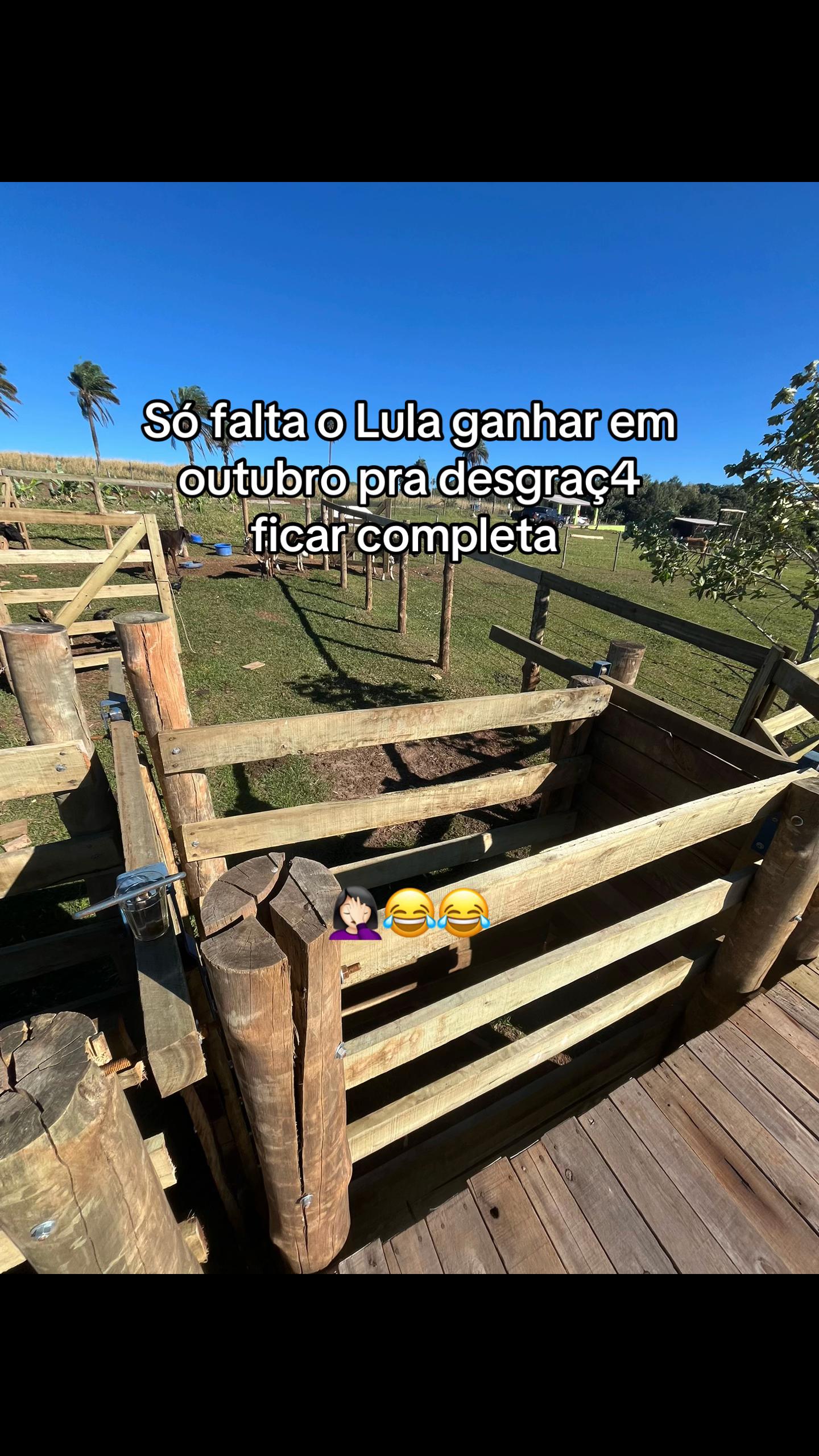 @Nogueiira 🇺🇸🪶