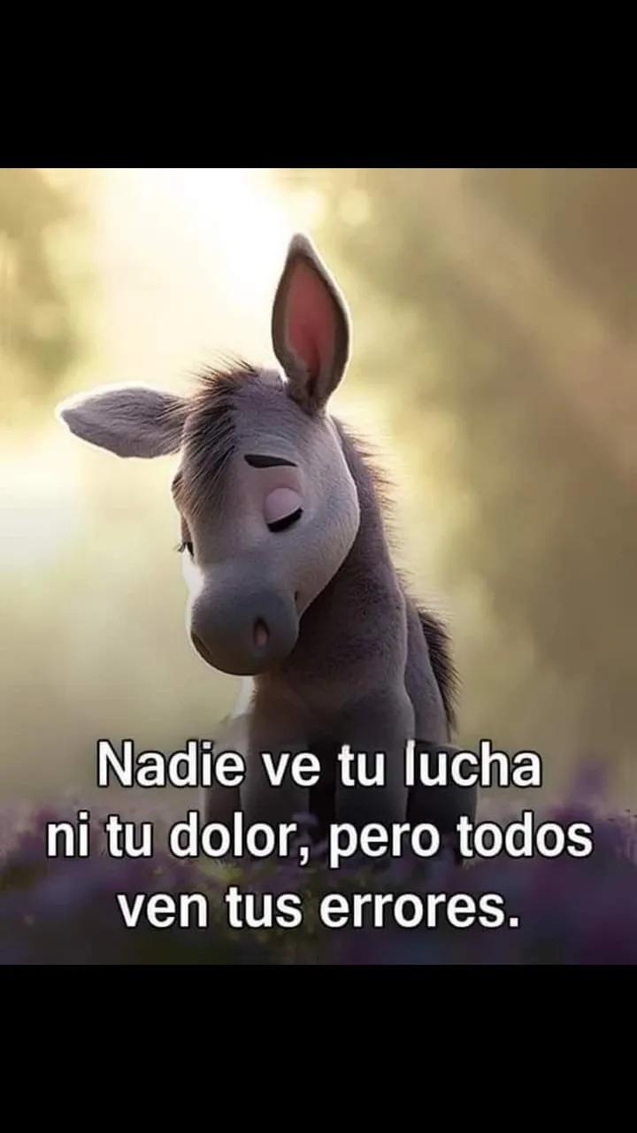 @Iveth Carmona