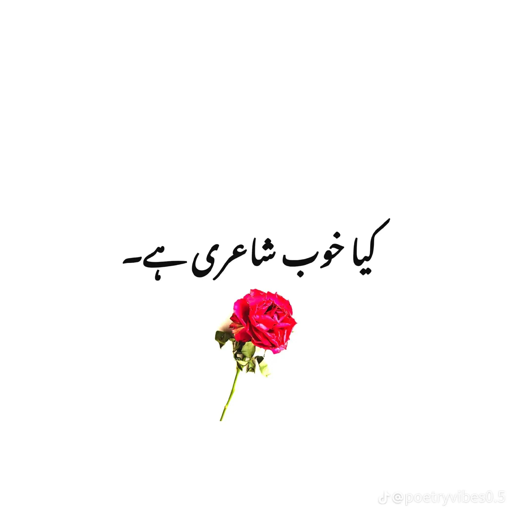 @Faiqa