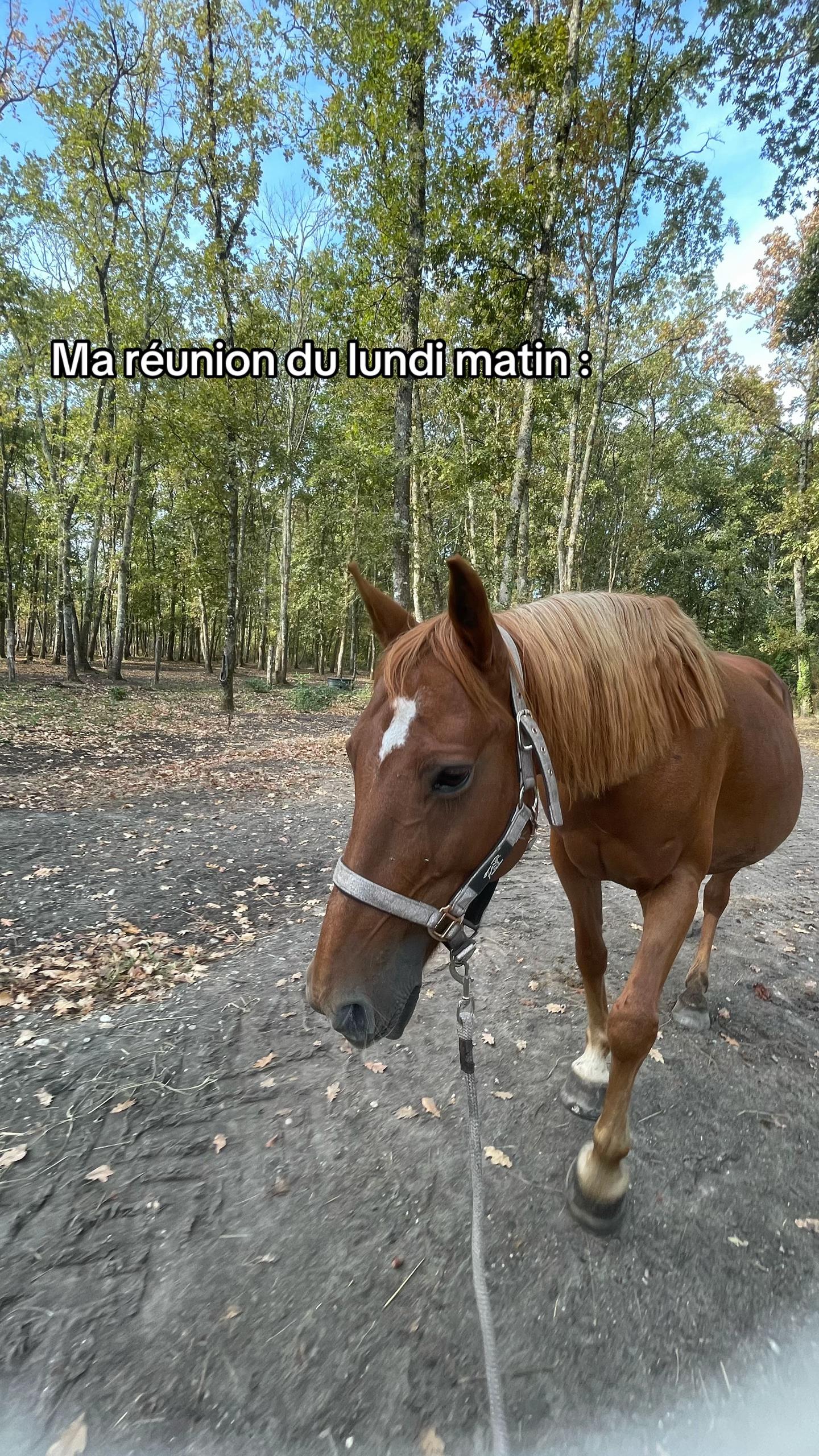 @Ludivine 🌞