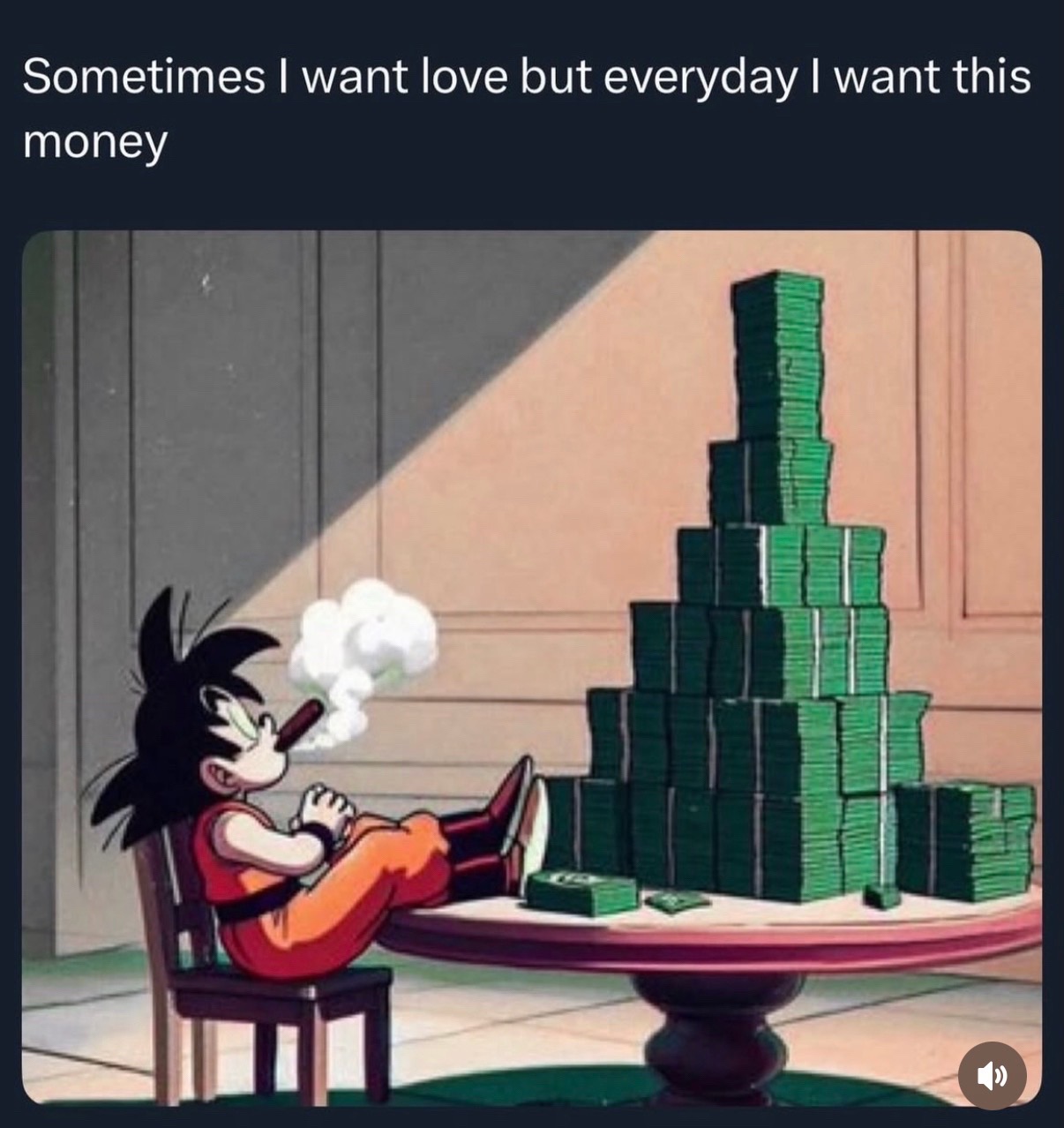 @Ci$qo305