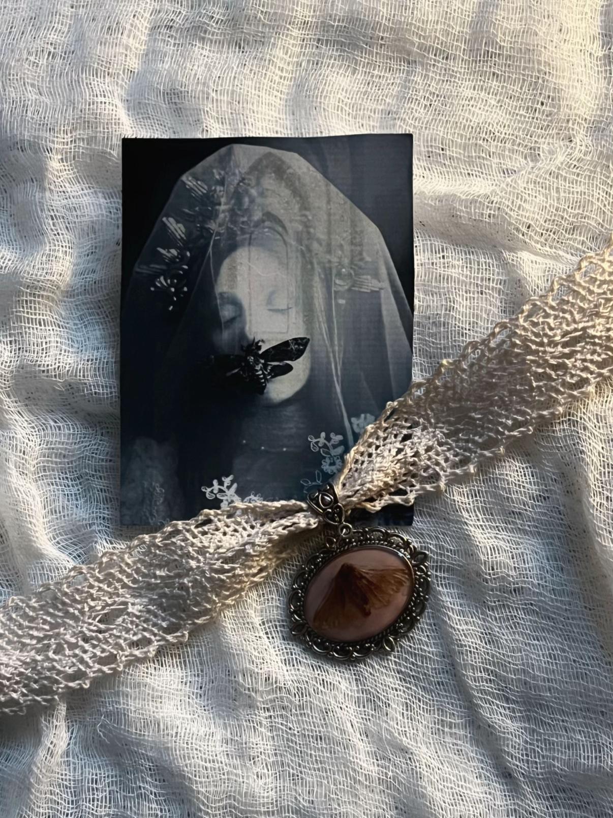 @mothling˚。⋆
