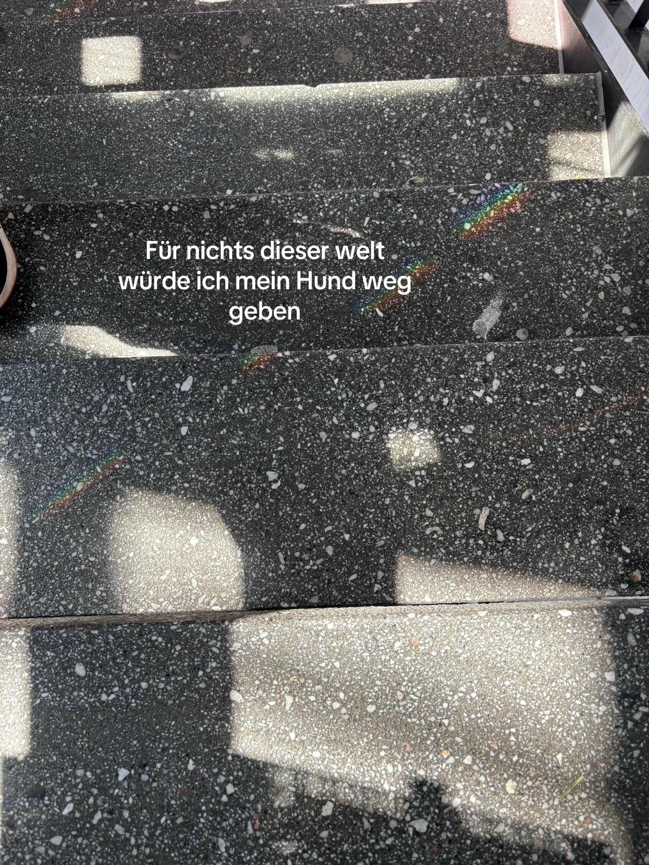@𝓤𝓼𝓮𝓻&lsquo;🌺 ྀིྀི