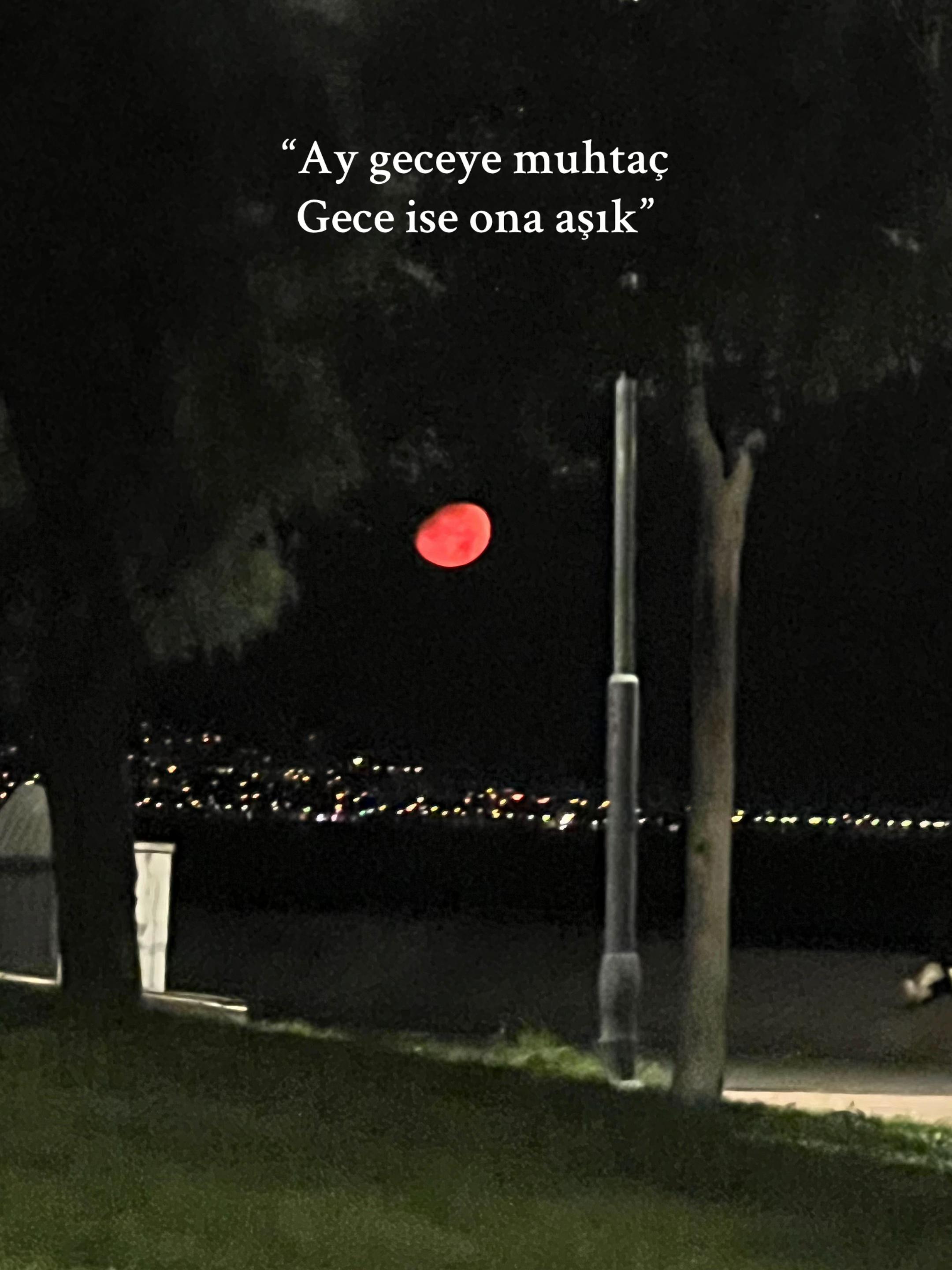 @Şehmuz Yıldız