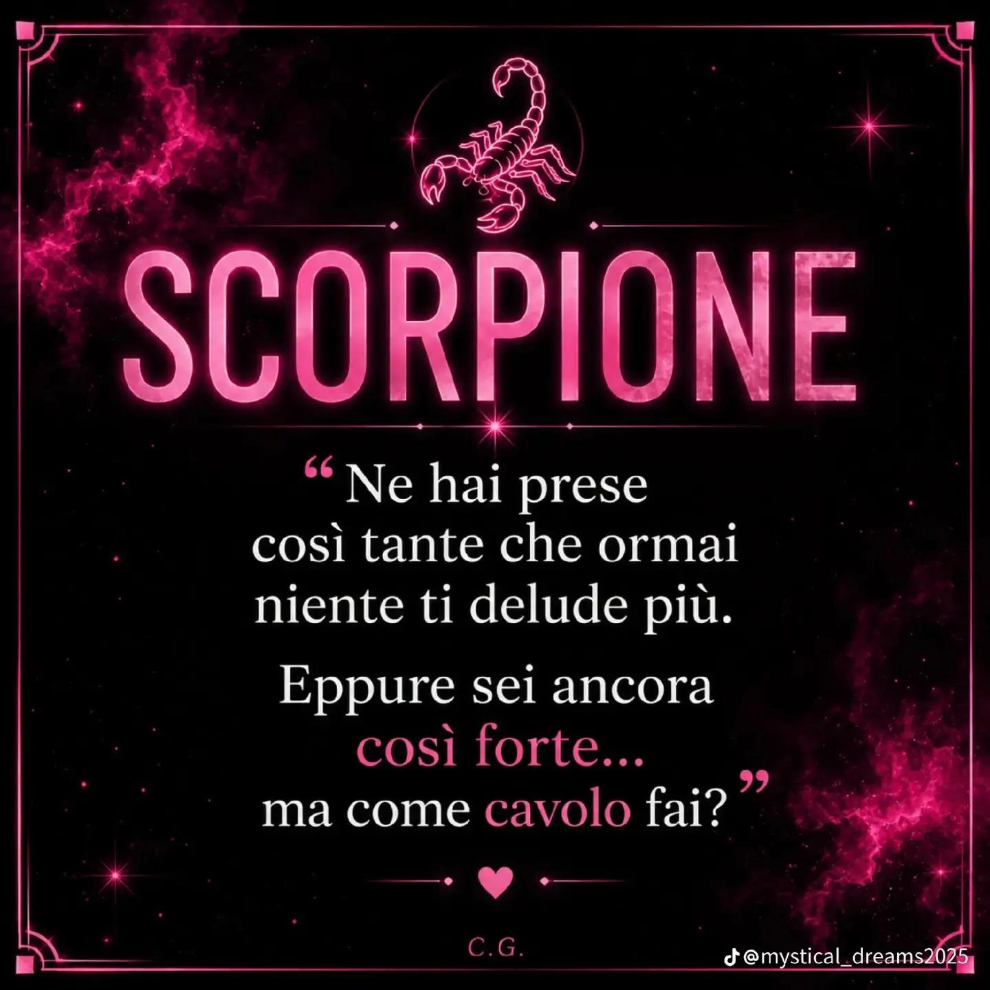 @carminebarbaria