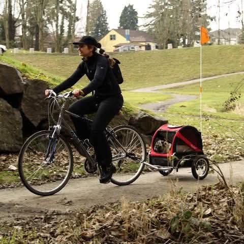 @Luxury Pets - Woefwinkel