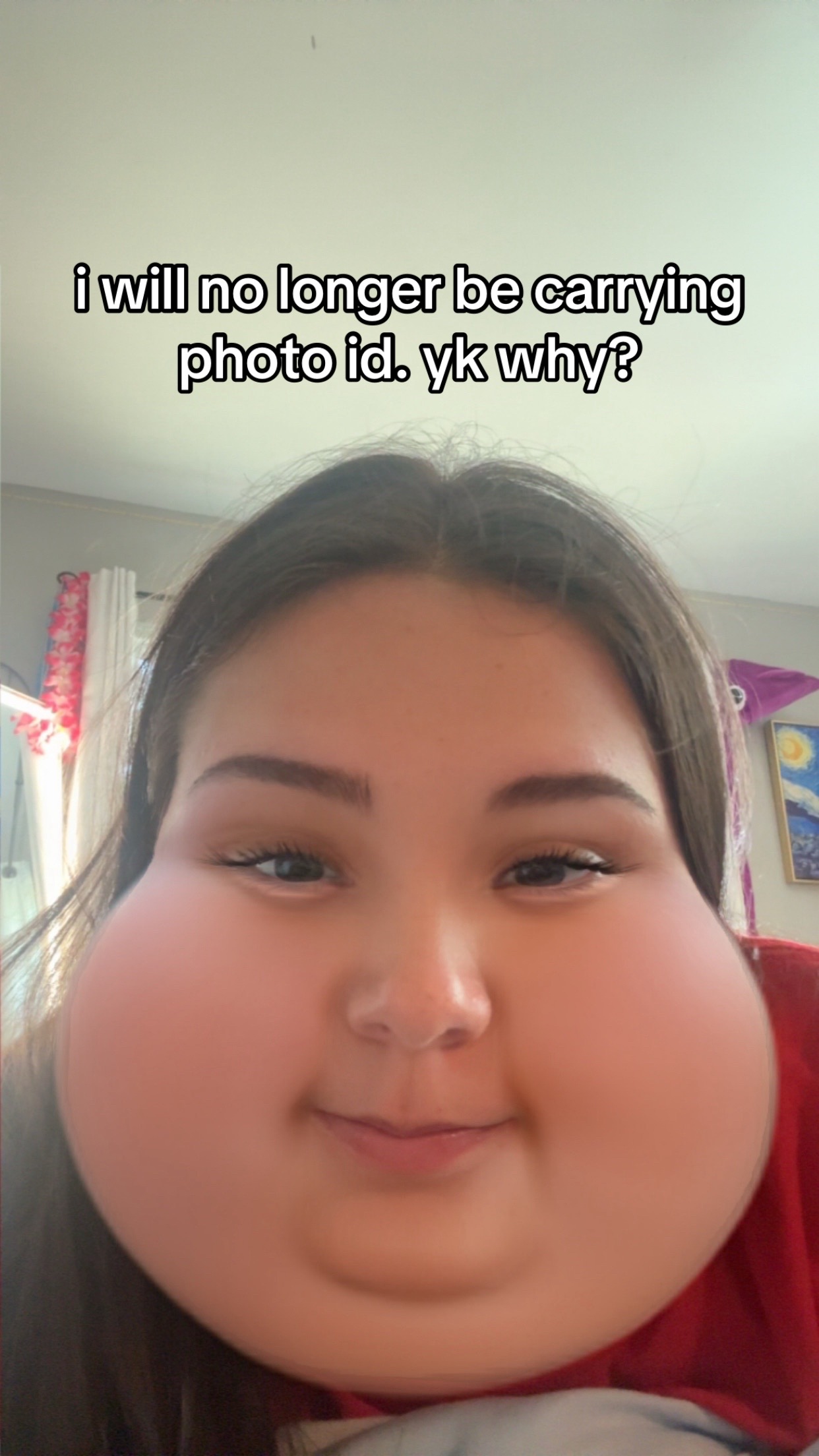@absolute cinemma