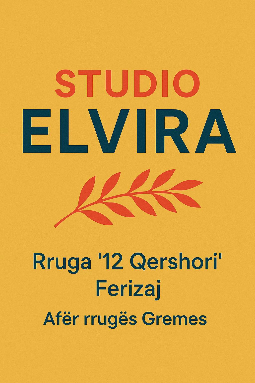 @StudioElvira