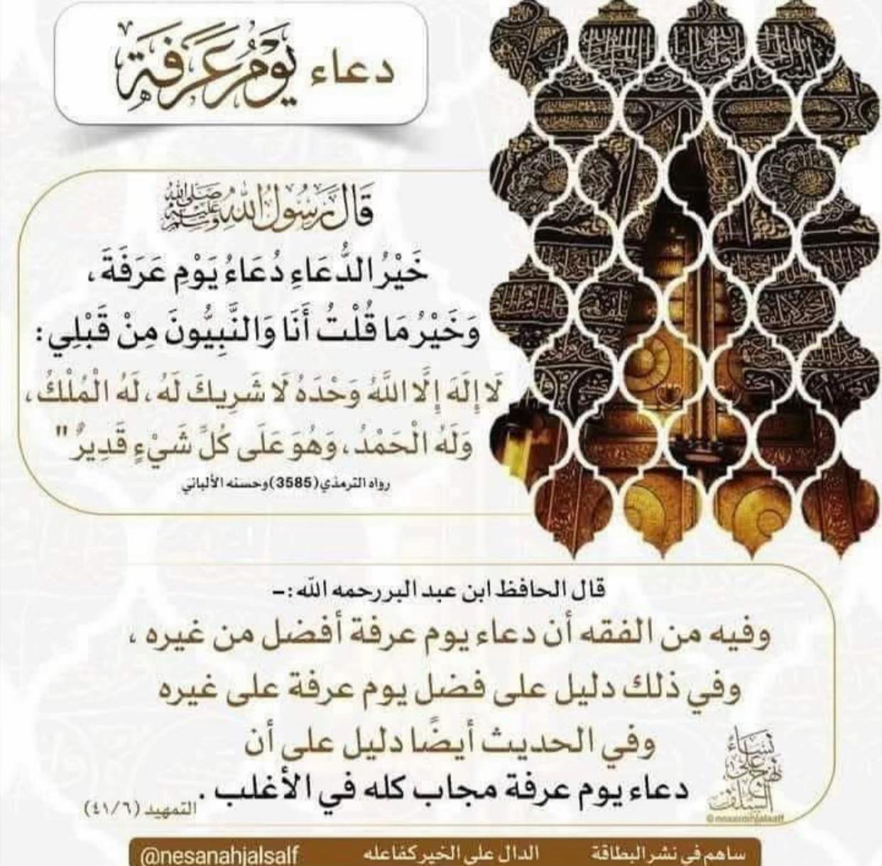 @نورالدين (أبو آمنه و عبد الله)