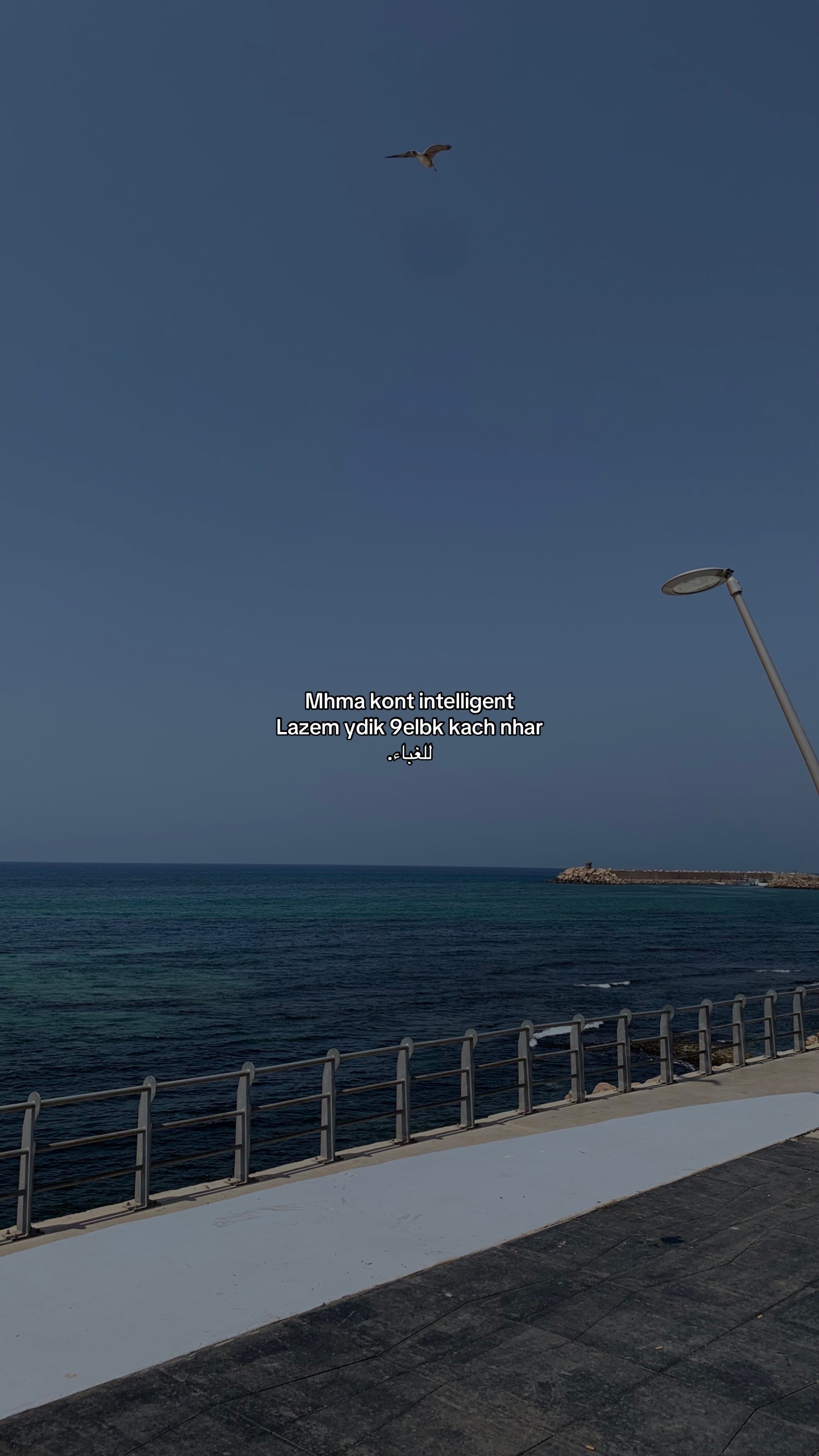 @ANES