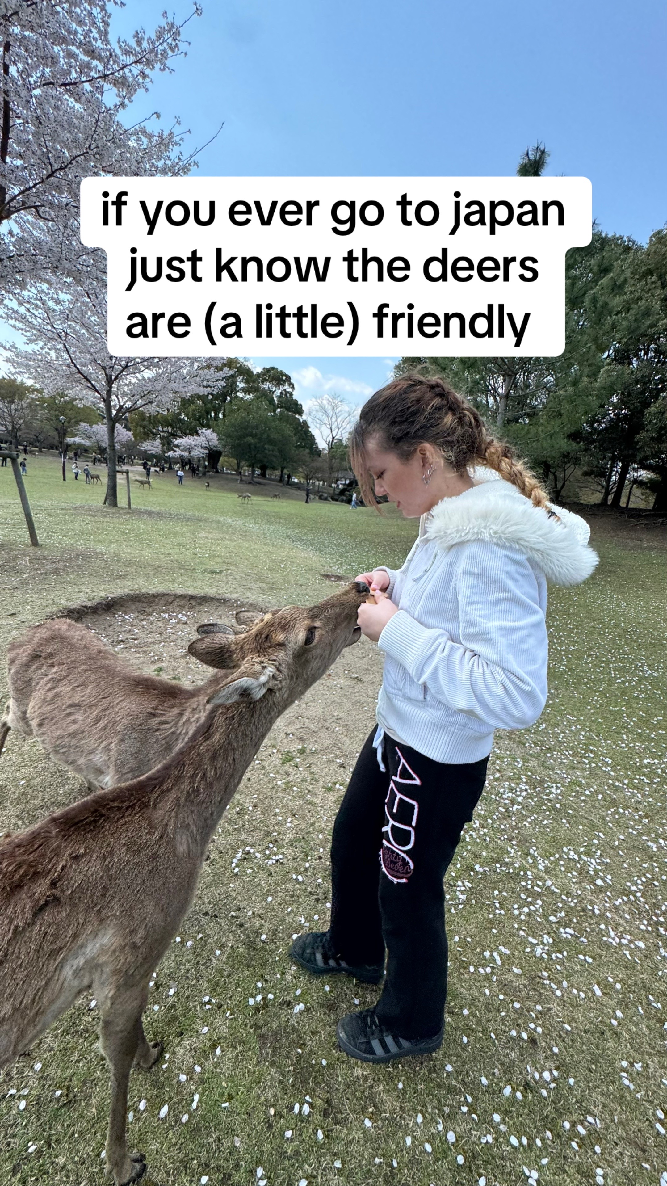 @izzypeasylemonsqueezy