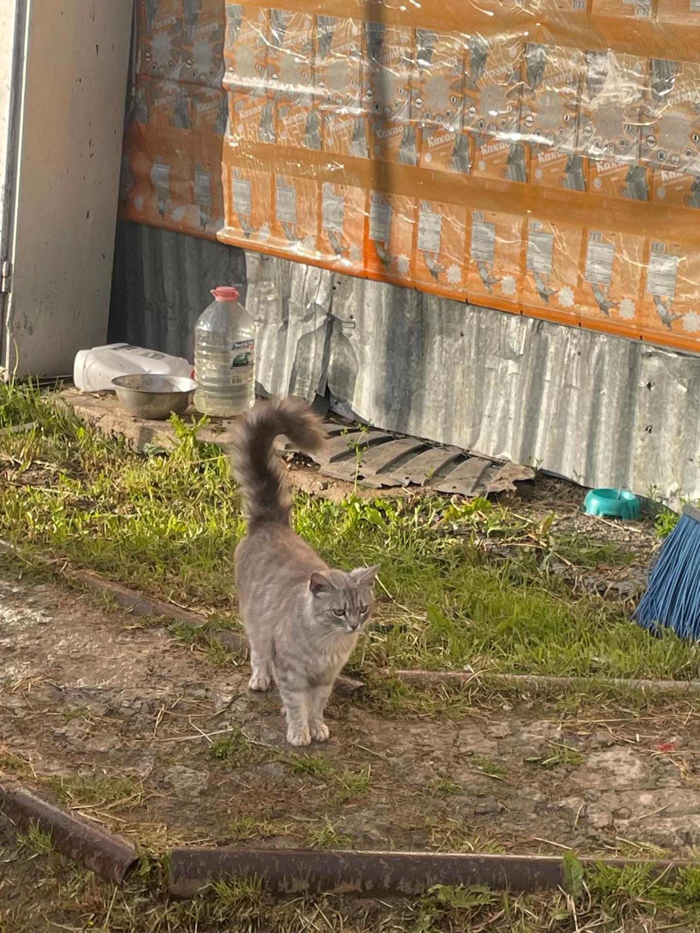 @𝐑𝐢🐾