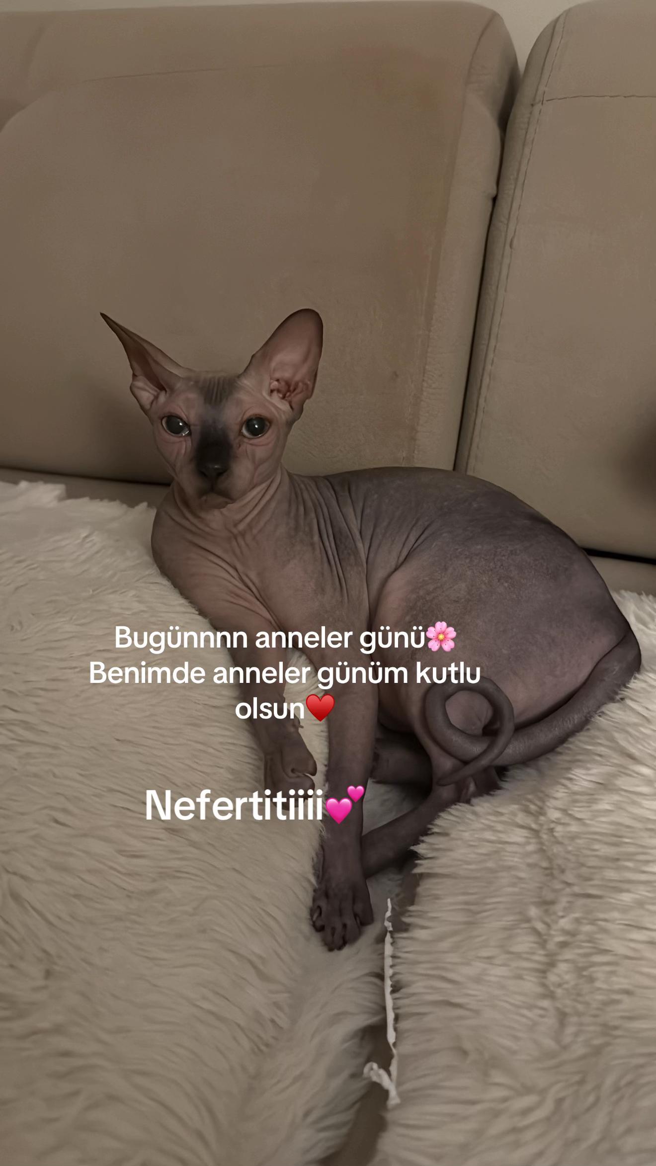 @Larin