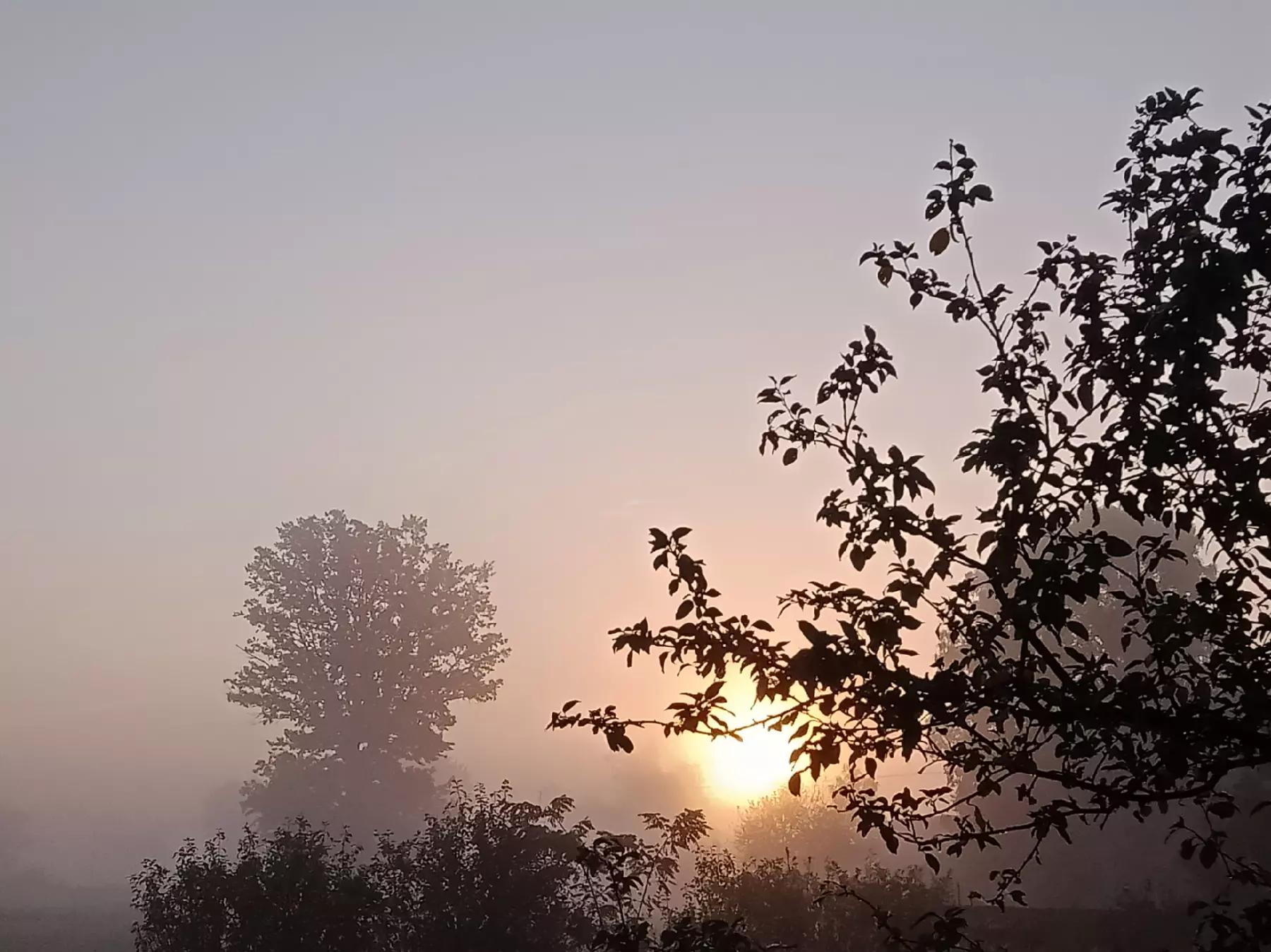 @Jaskółeczka 💫💫💫💫