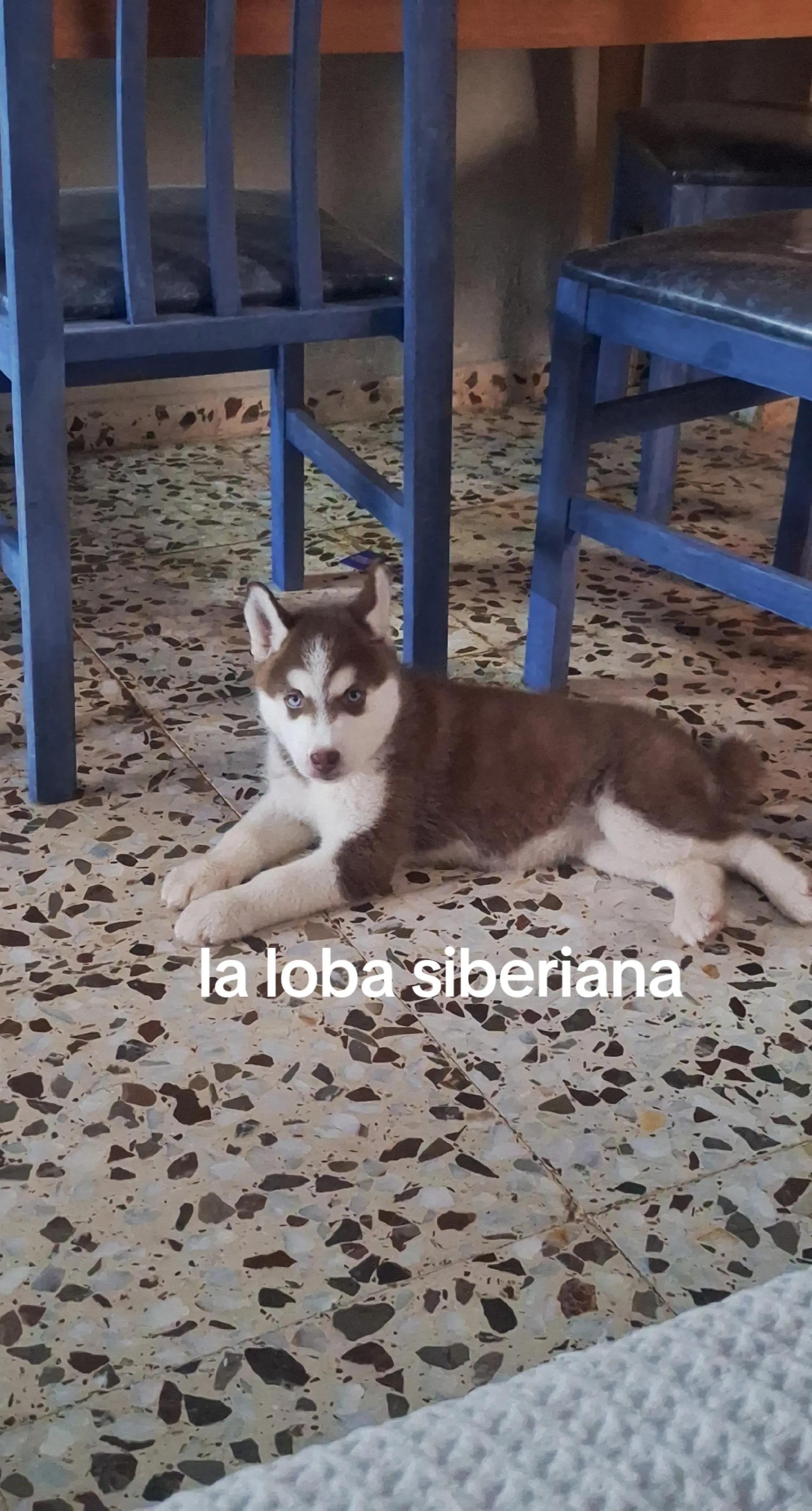 @edu