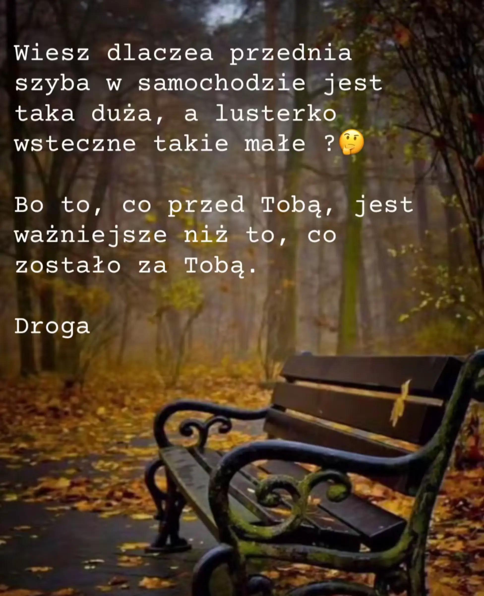 @Dora Mac 325