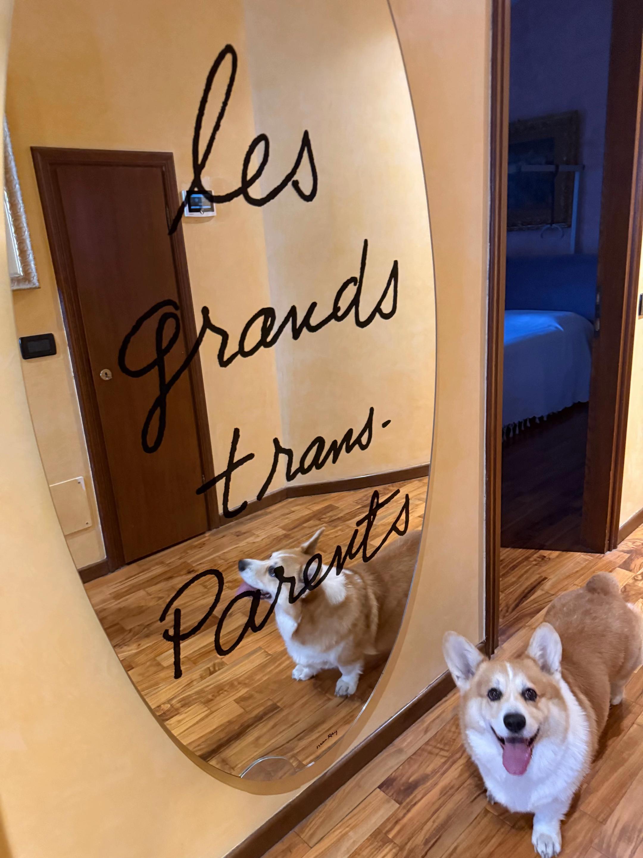 @Cheddar the Corgi