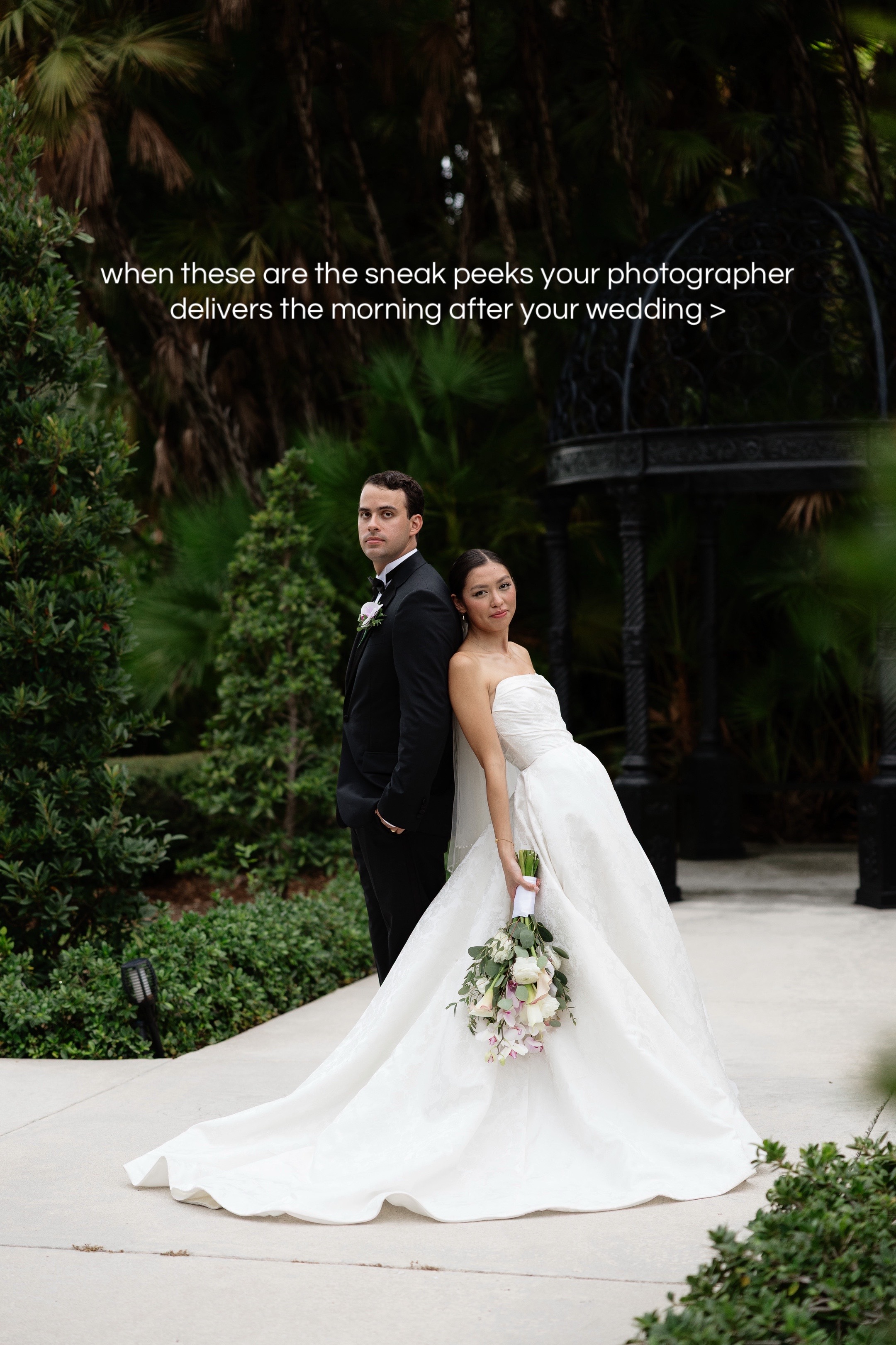 @Palm Beach Photographer |Rose