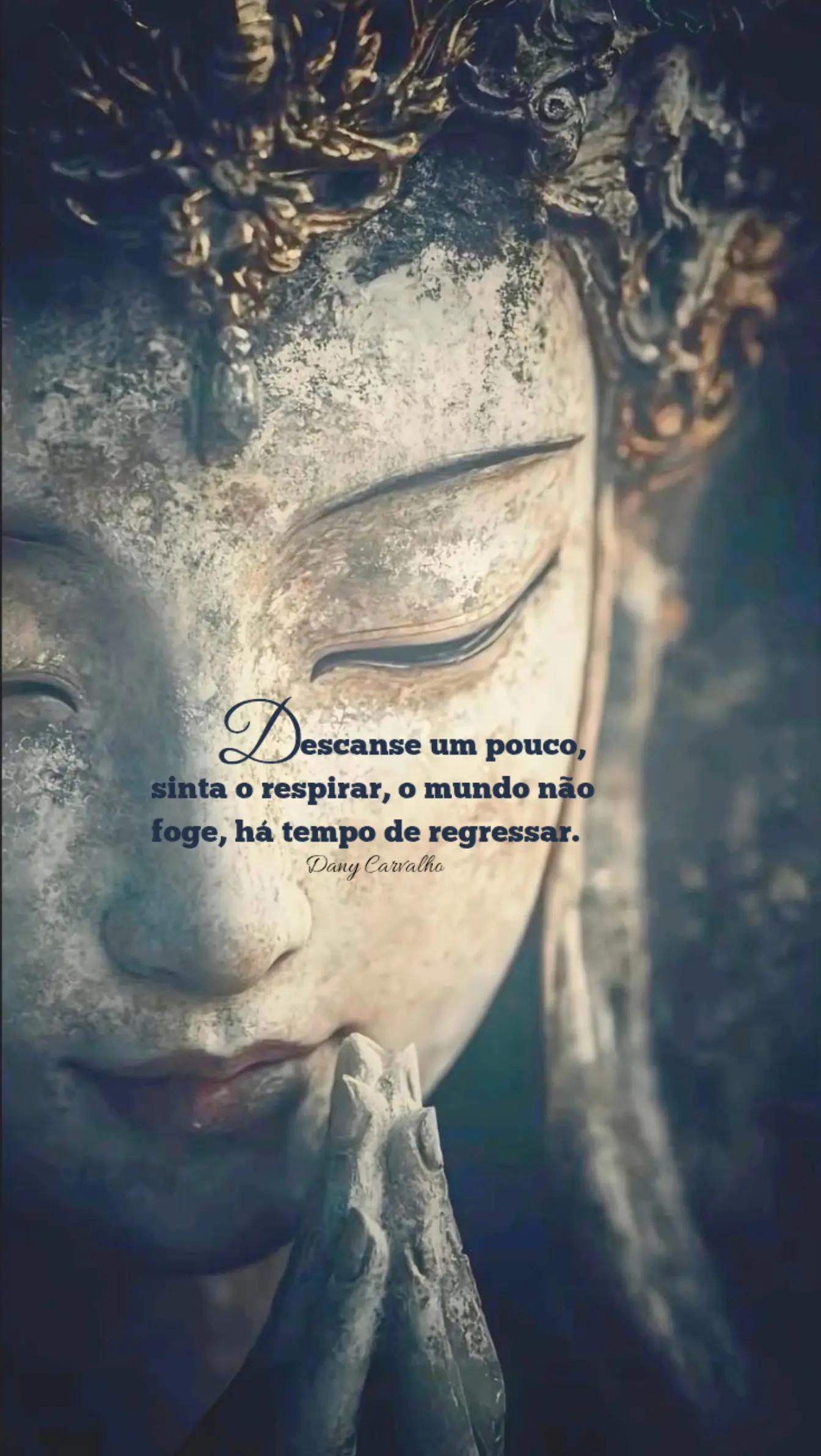 @Dany Carvalho✍️