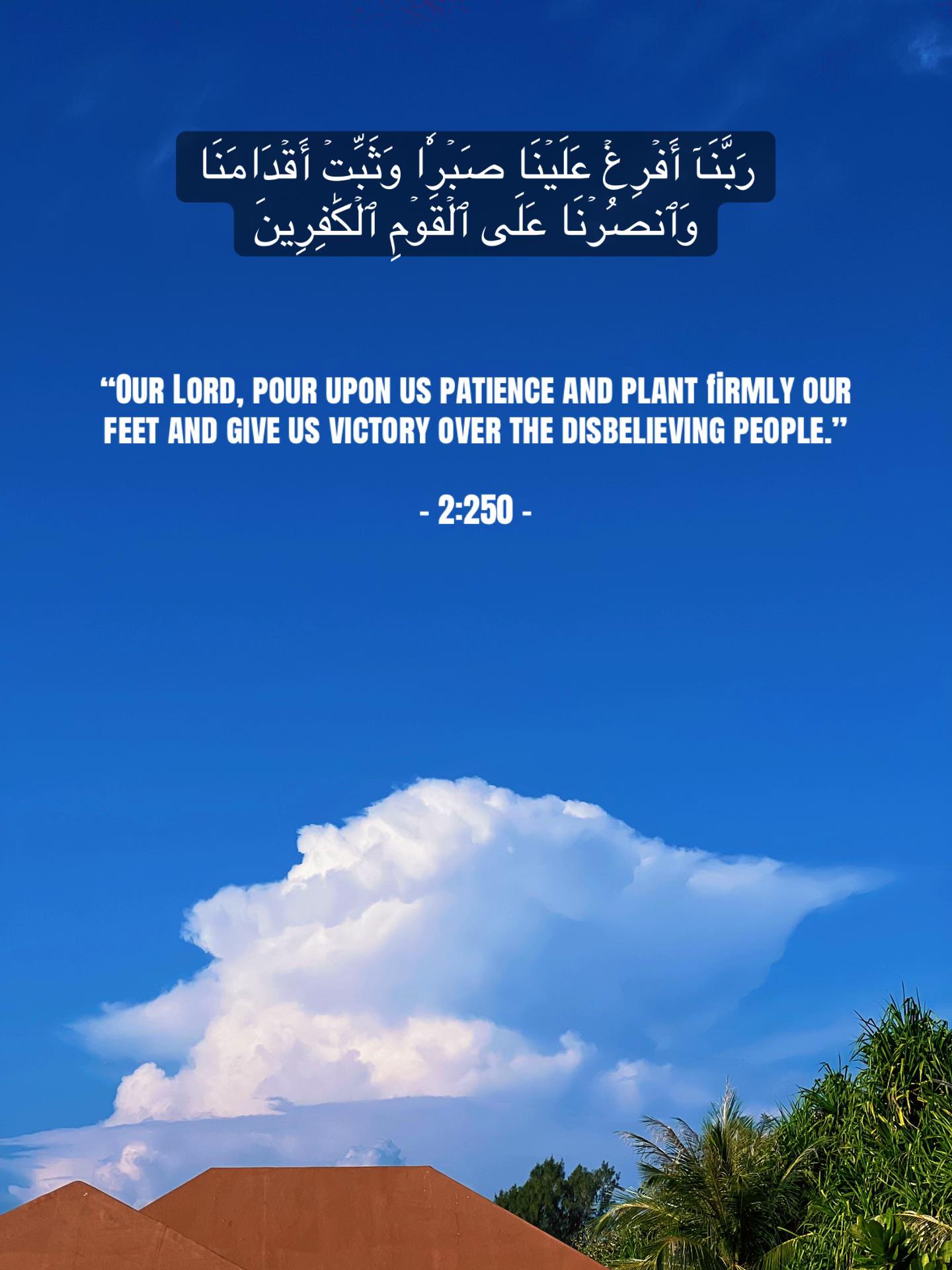@احمد