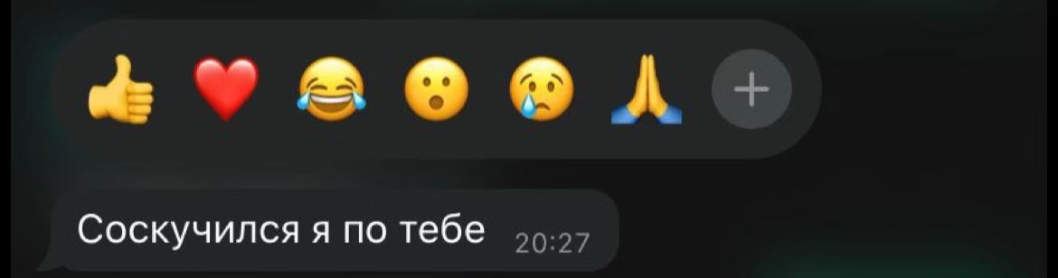 @сонная 🕷️