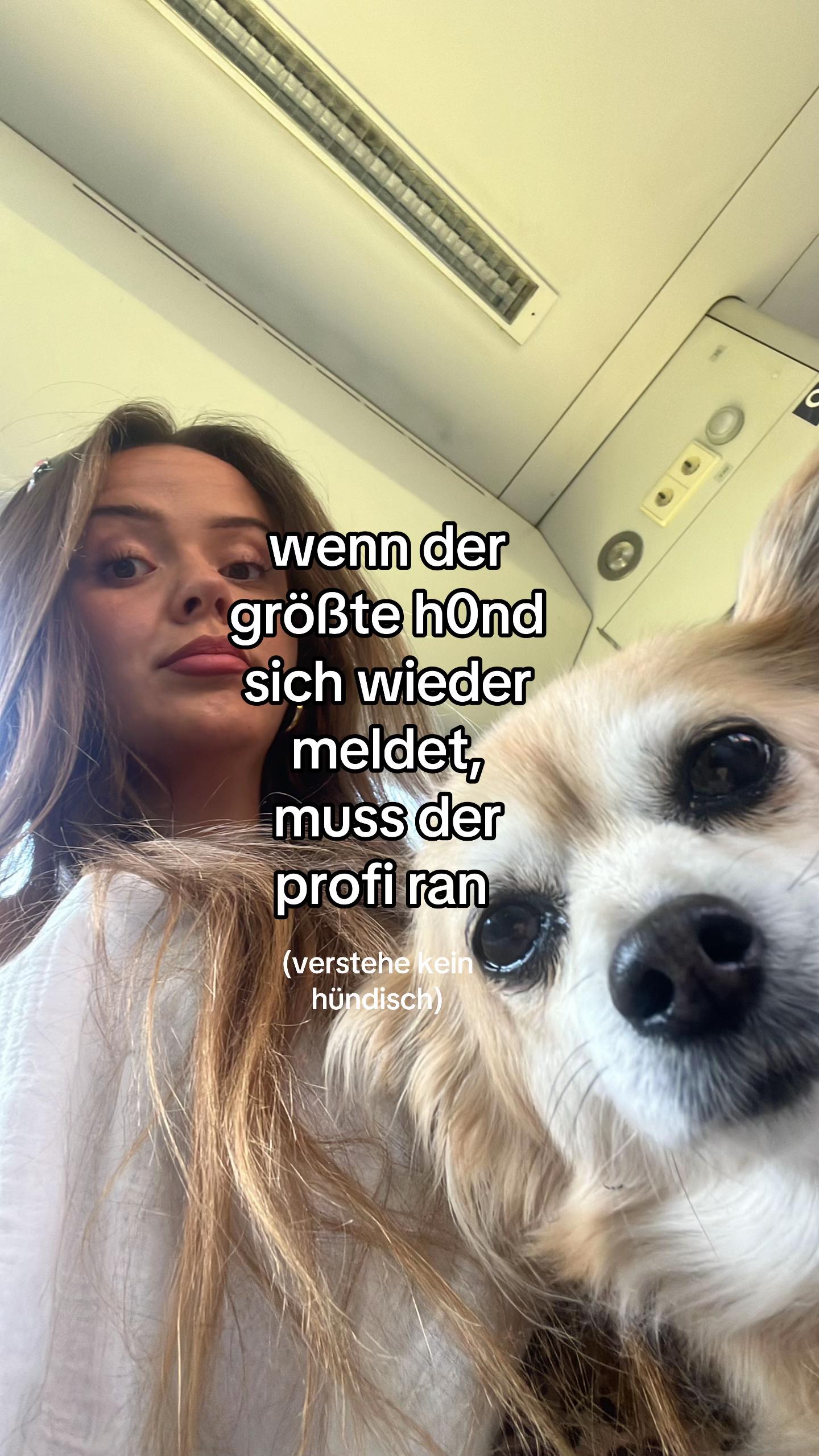 @lilly 🇵🇱🇩🇪