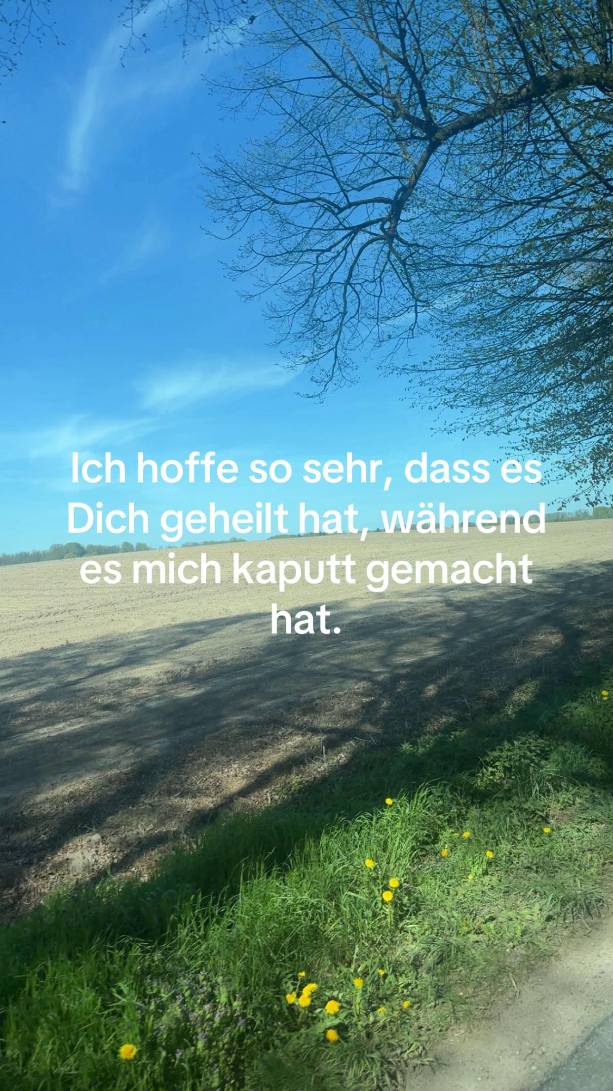 @dxrixl