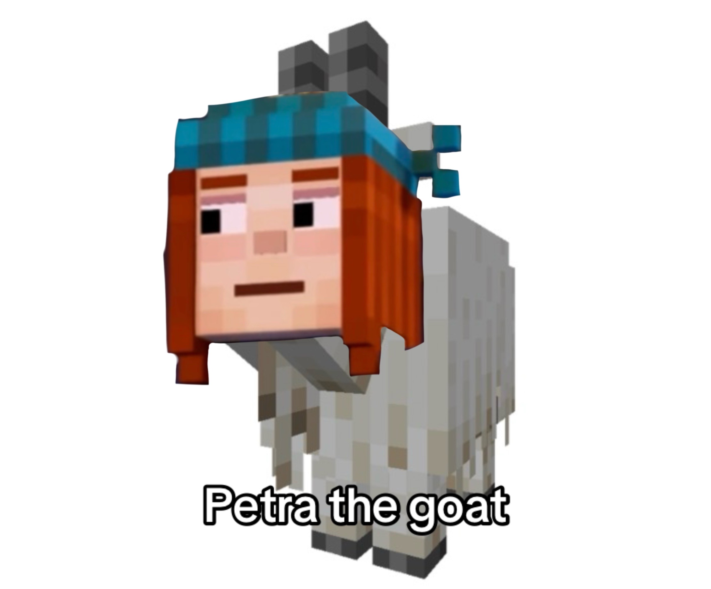 @⋆˙⟡ 𖤓 𝒱／ℰ𝓁𝒾𝒶 𖤓 ⦻˚.⋆