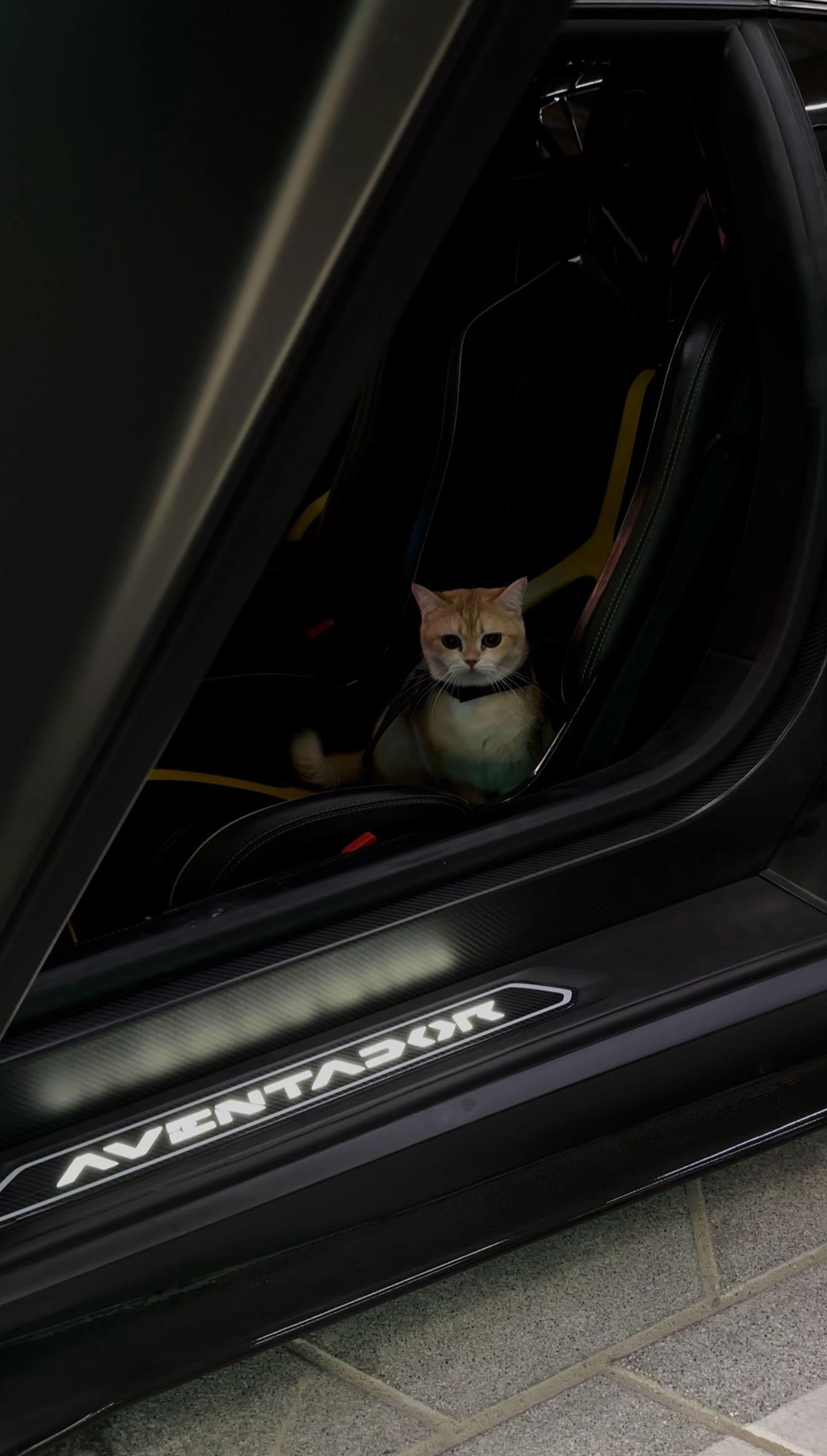 @brz