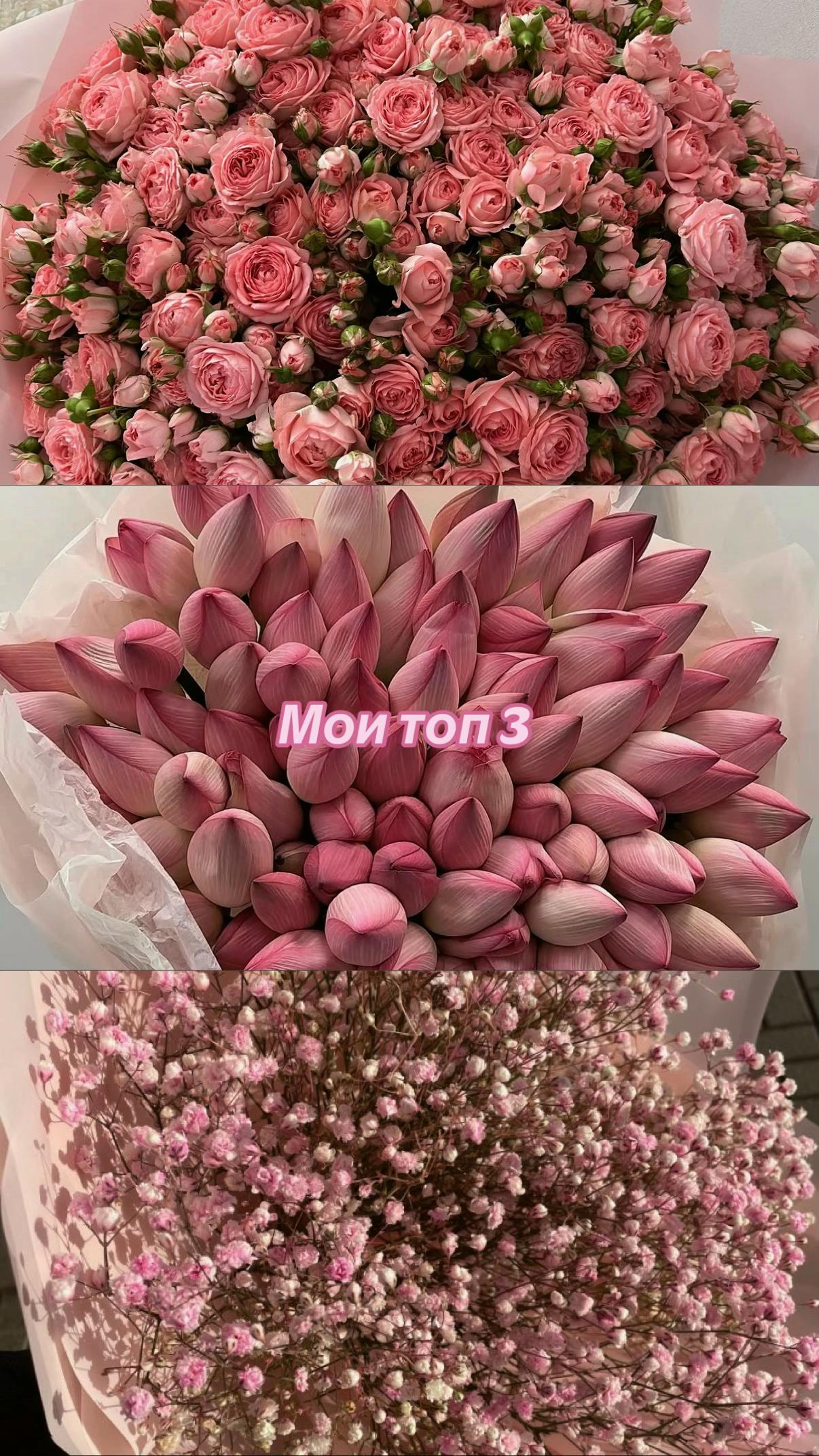 @luni.1