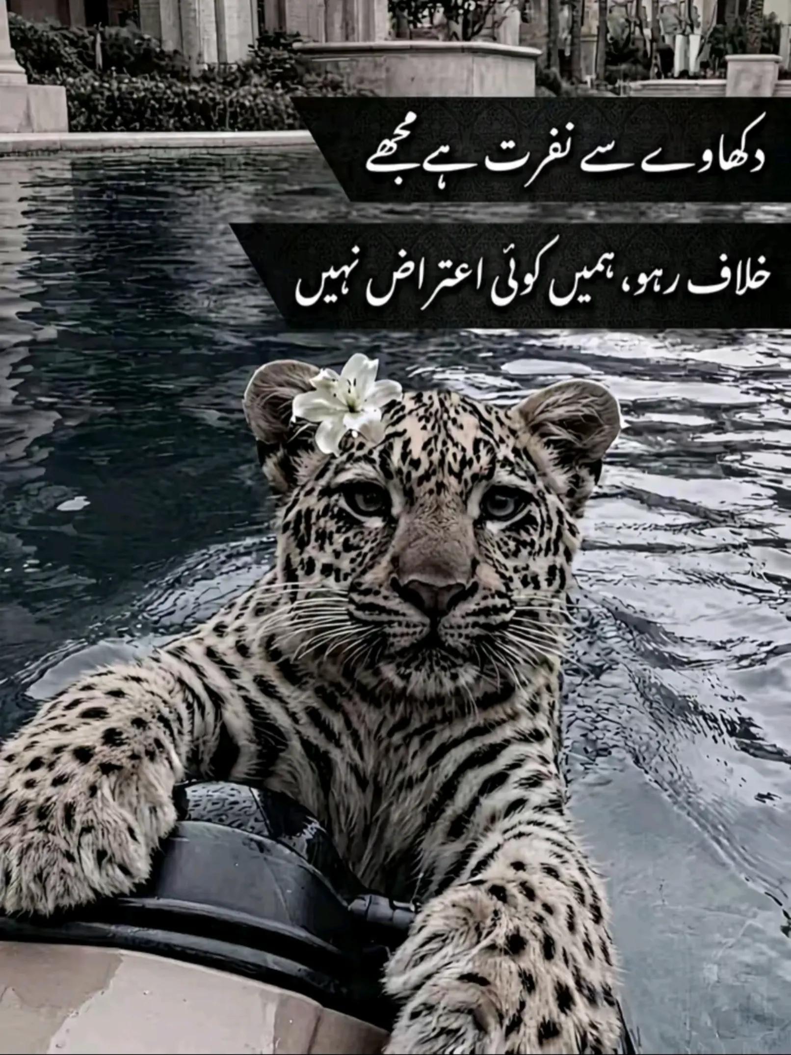 @👑☠️RaJpOoT❤️🔥گجرات آلا☠️👑