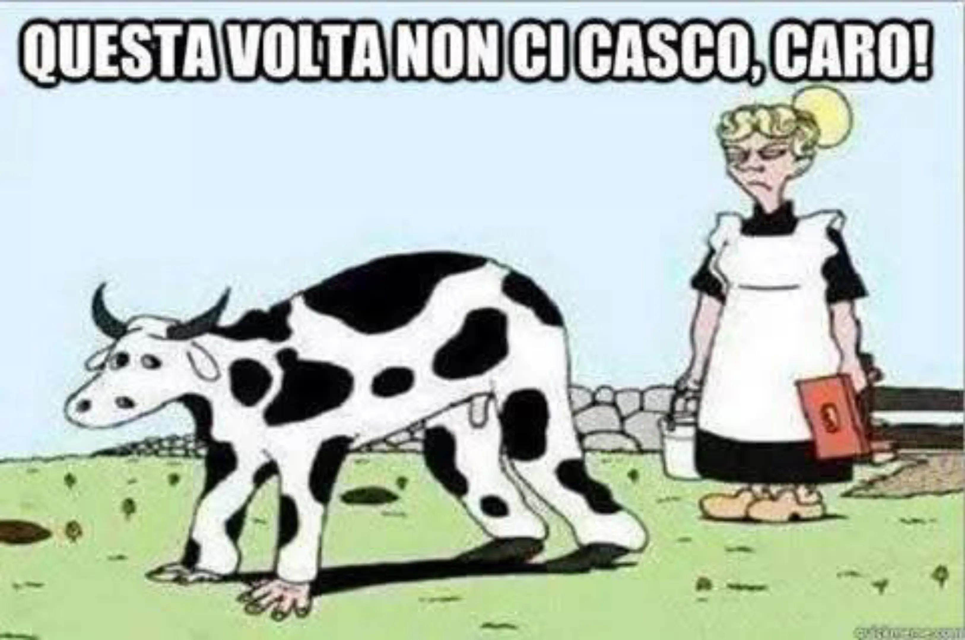 @Boris Capone