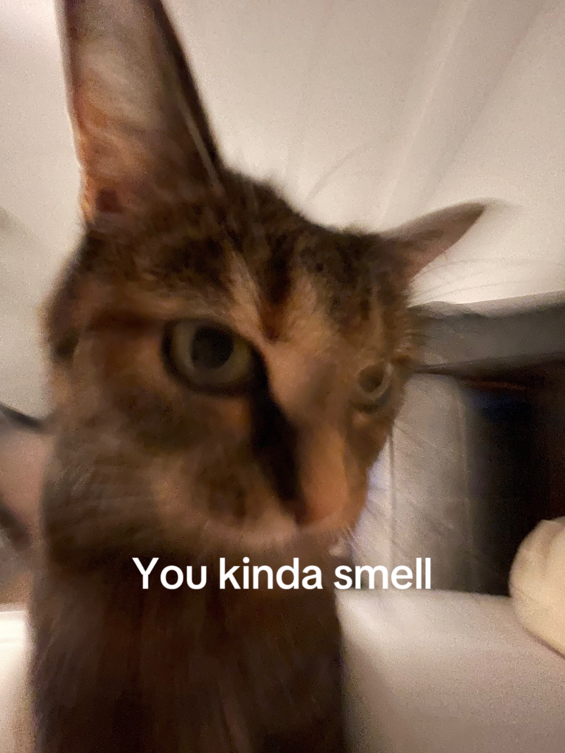 @Min