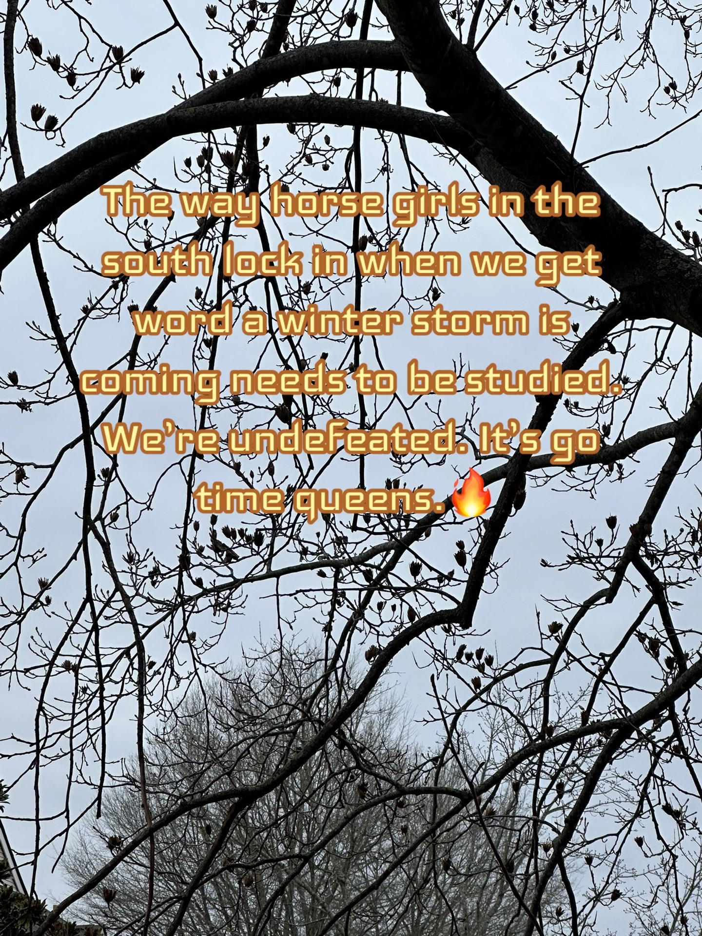 @OTTB_Lifer