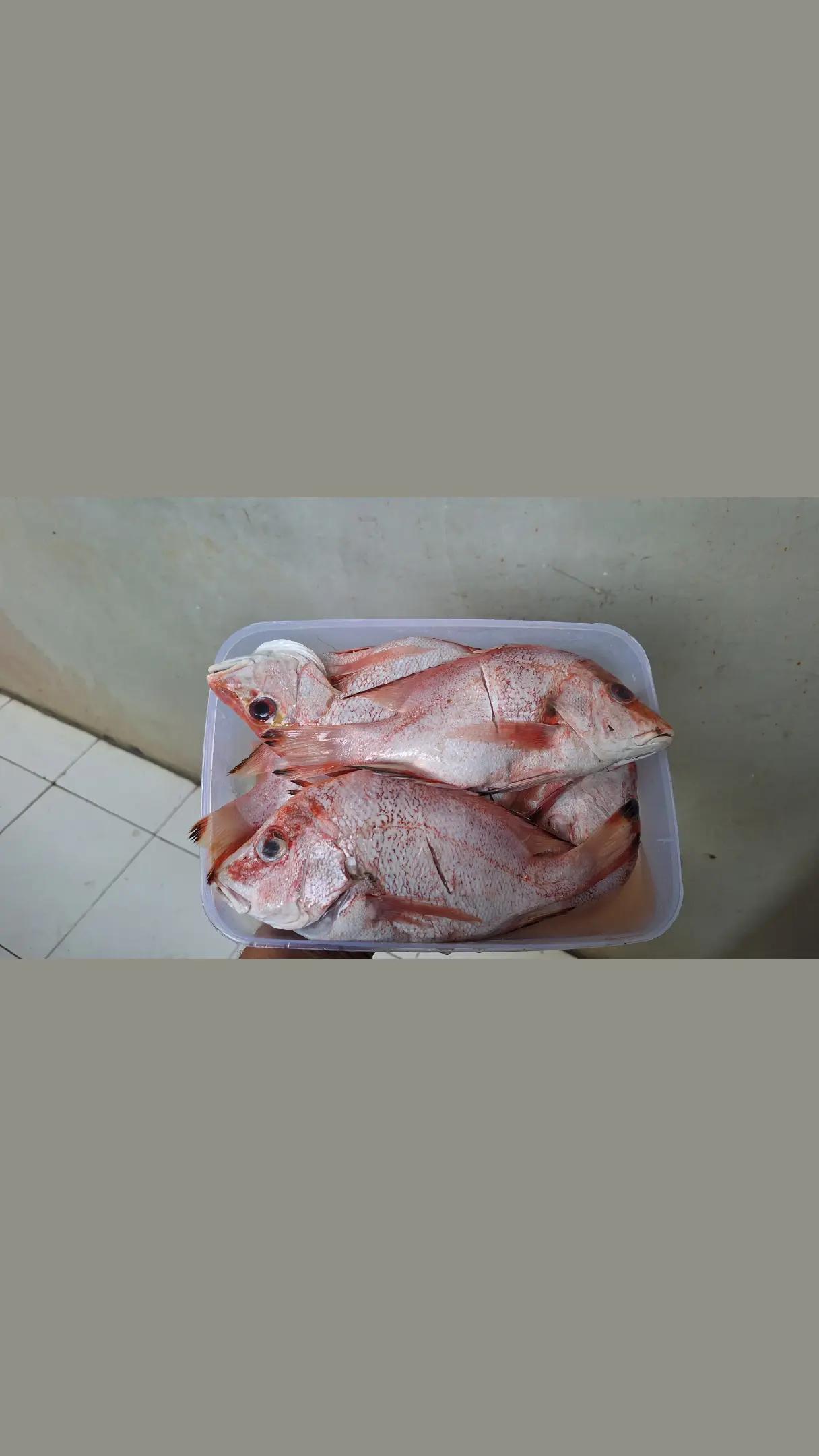 @Sarapan Kaka Adik Soreang