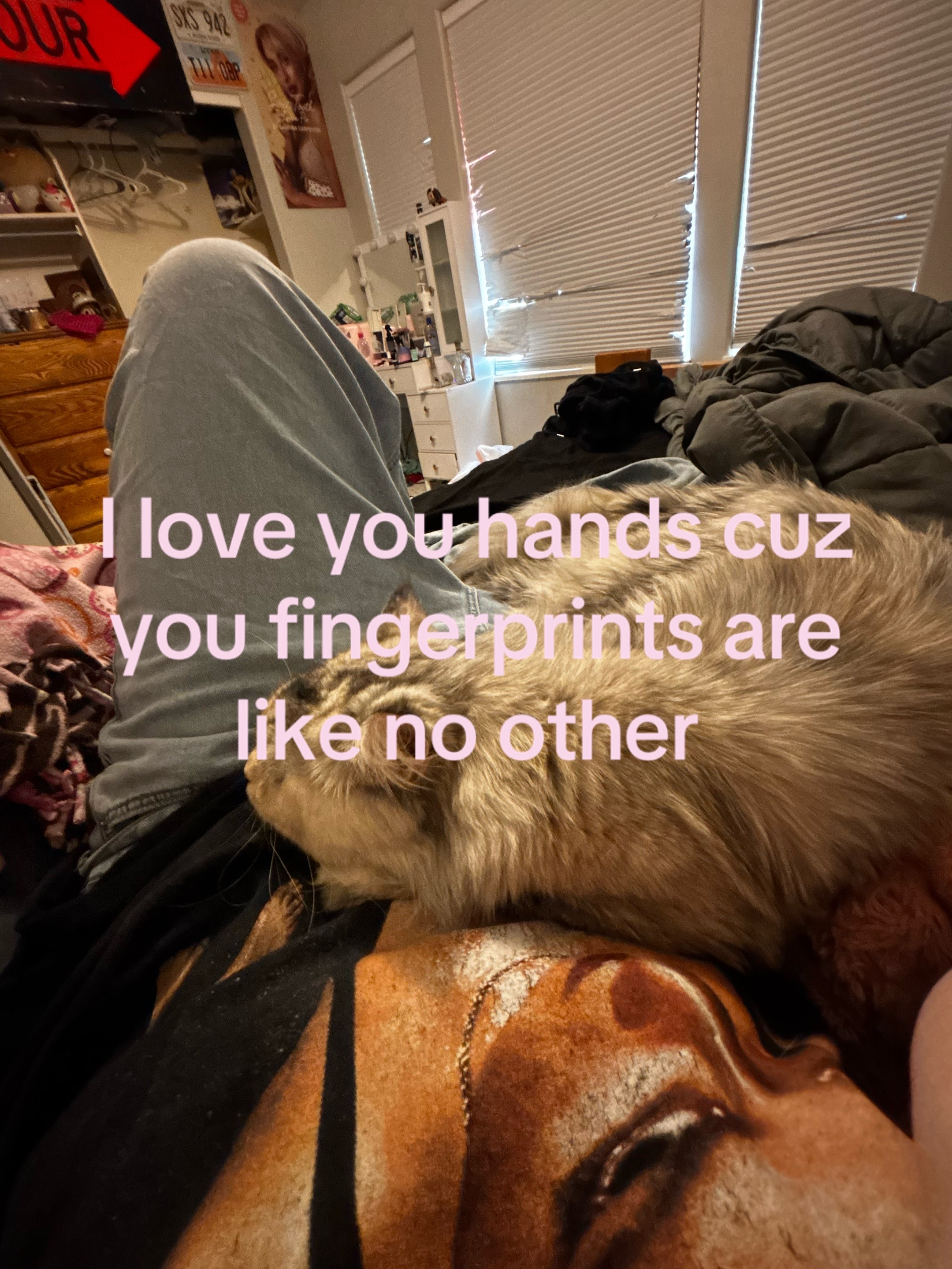 @Charlisecretspam