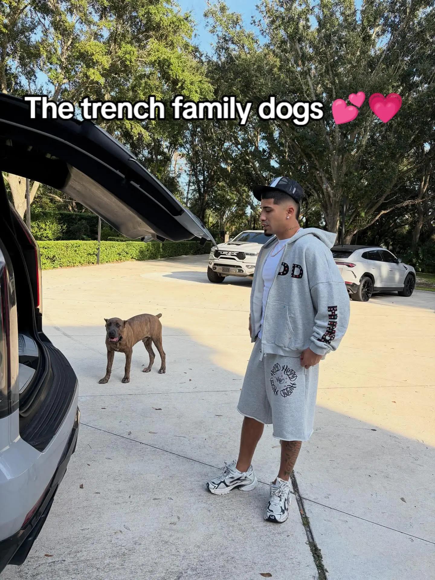 @therealrex
